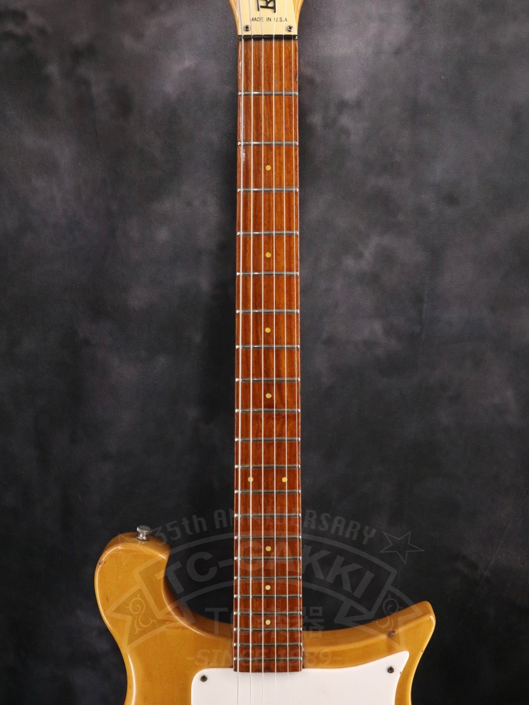 Rickenbacker 420