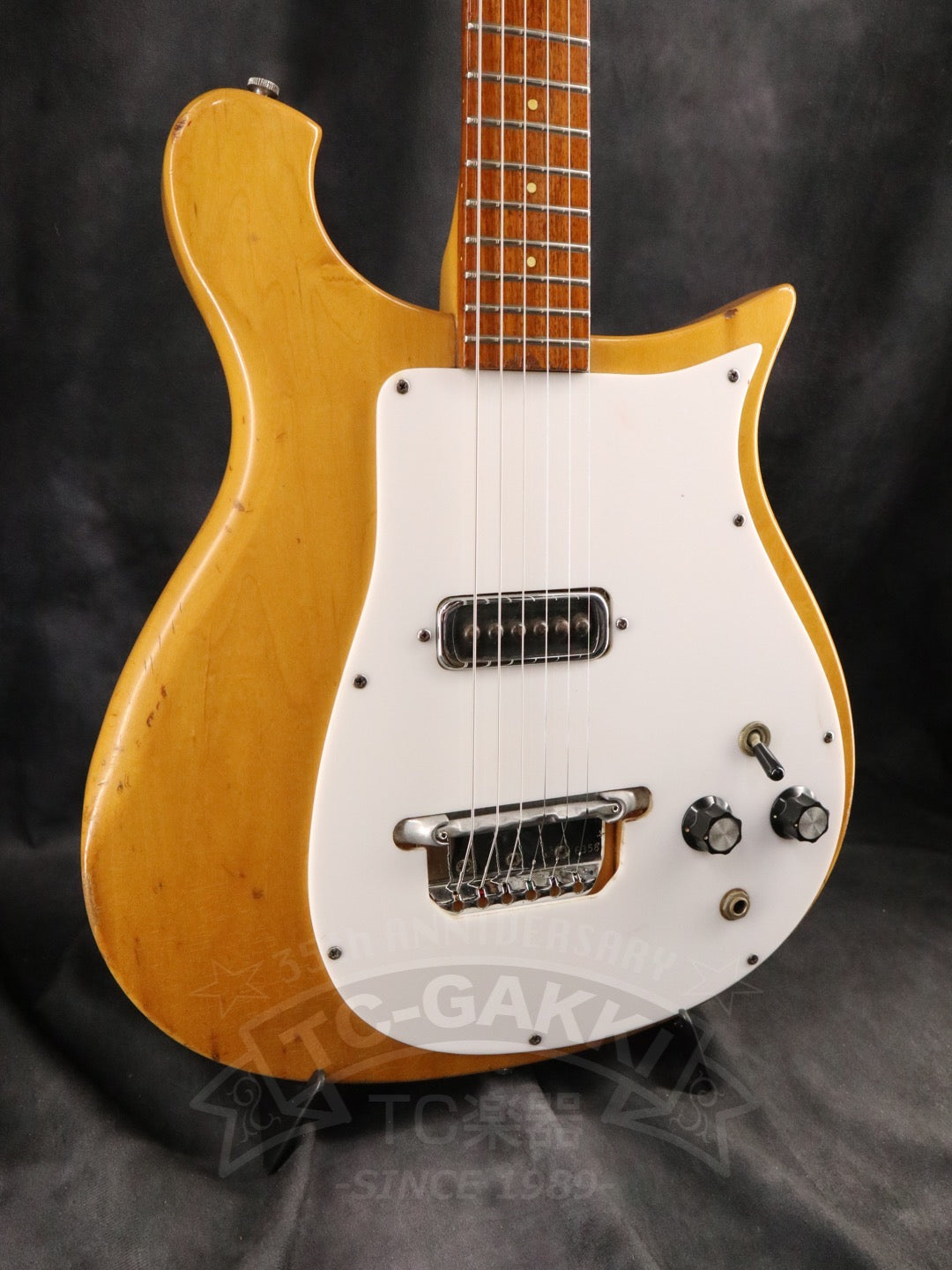 Rickenbacker 420