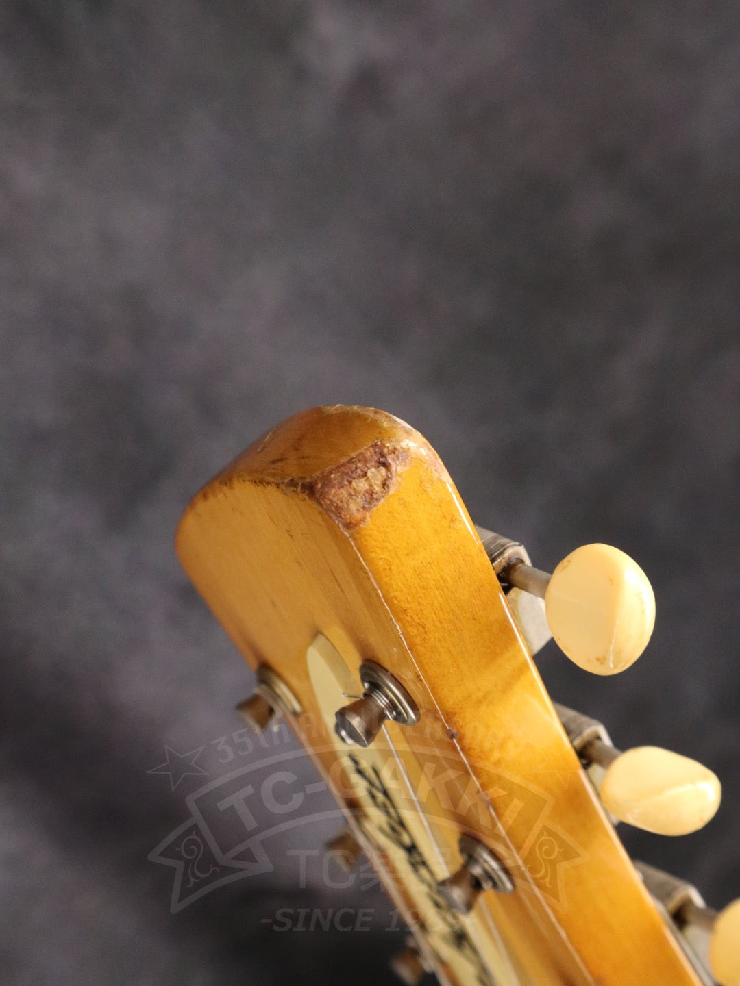 Rickenbacker 420