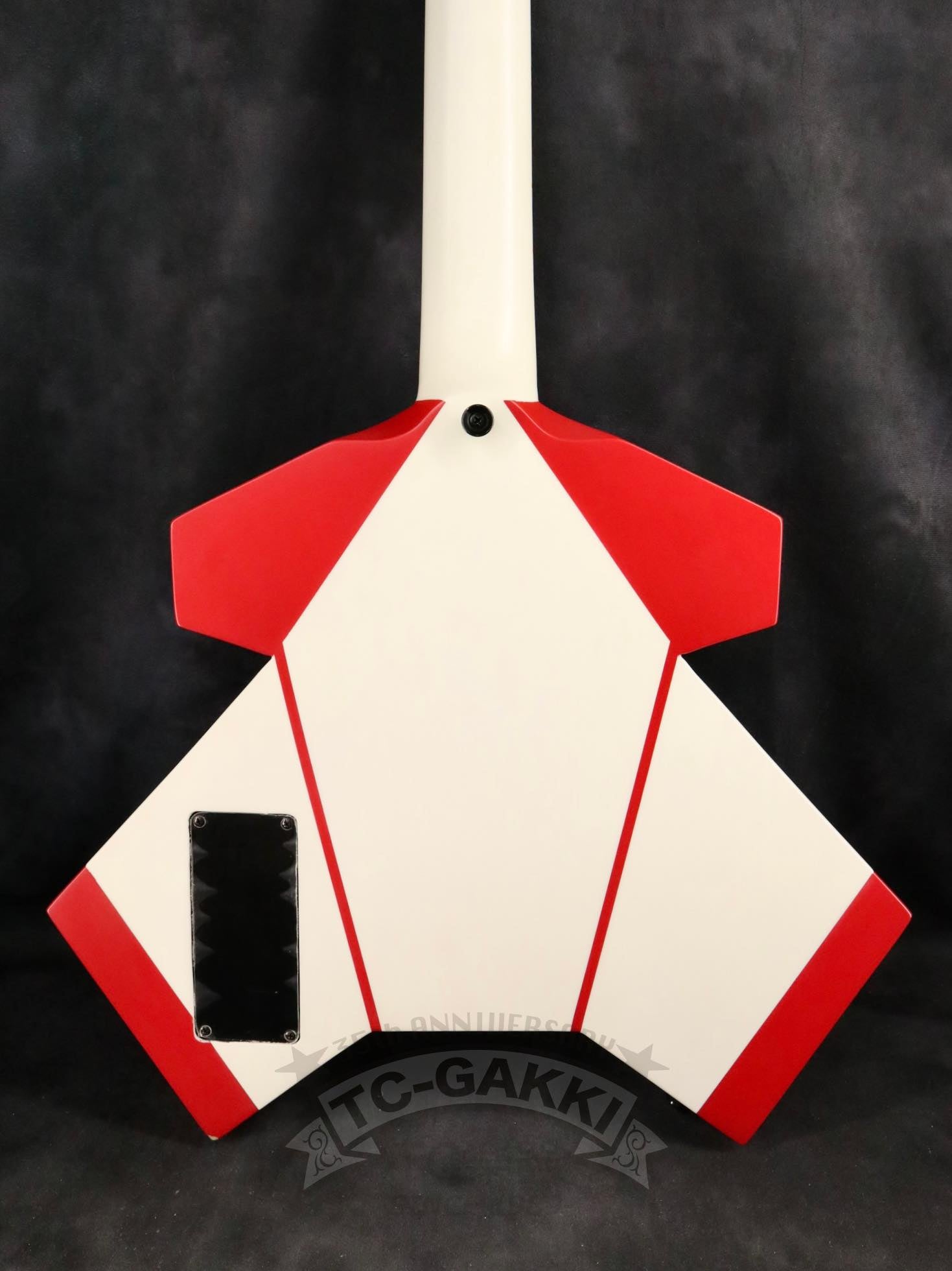 TC-GAKKI ATD-GT
