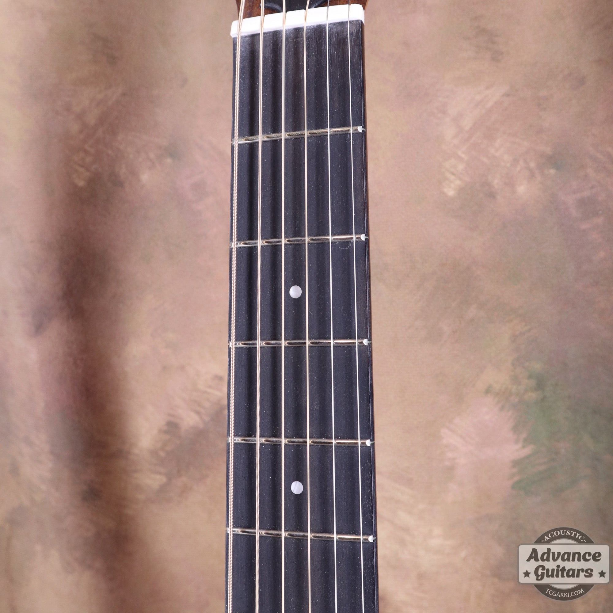Taylor 2022年製 Academy 10