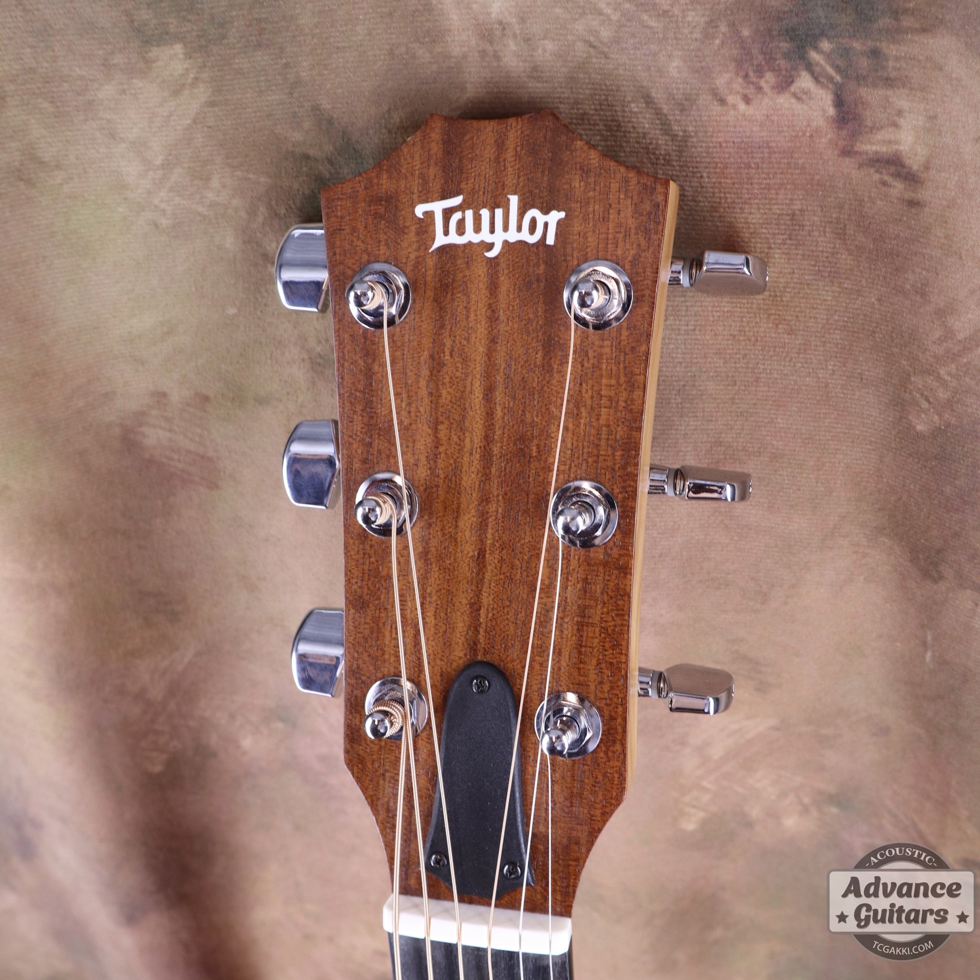 Taylor 2022年製 Academy 10