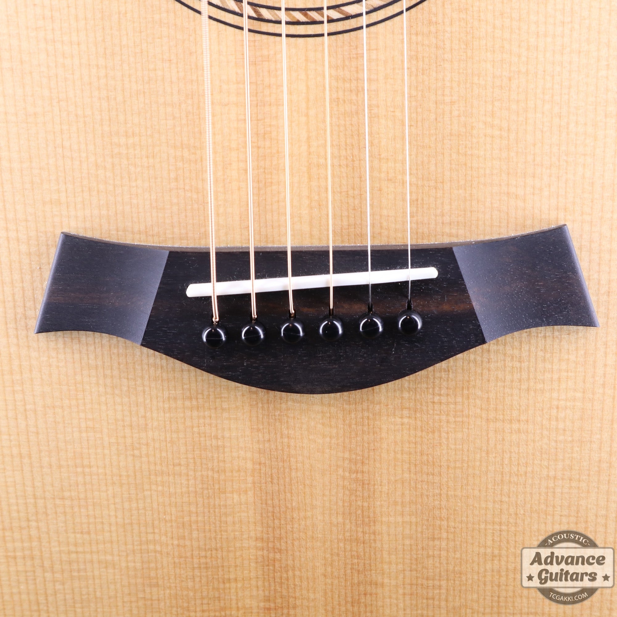 Taylor 2022年製 Academy 10