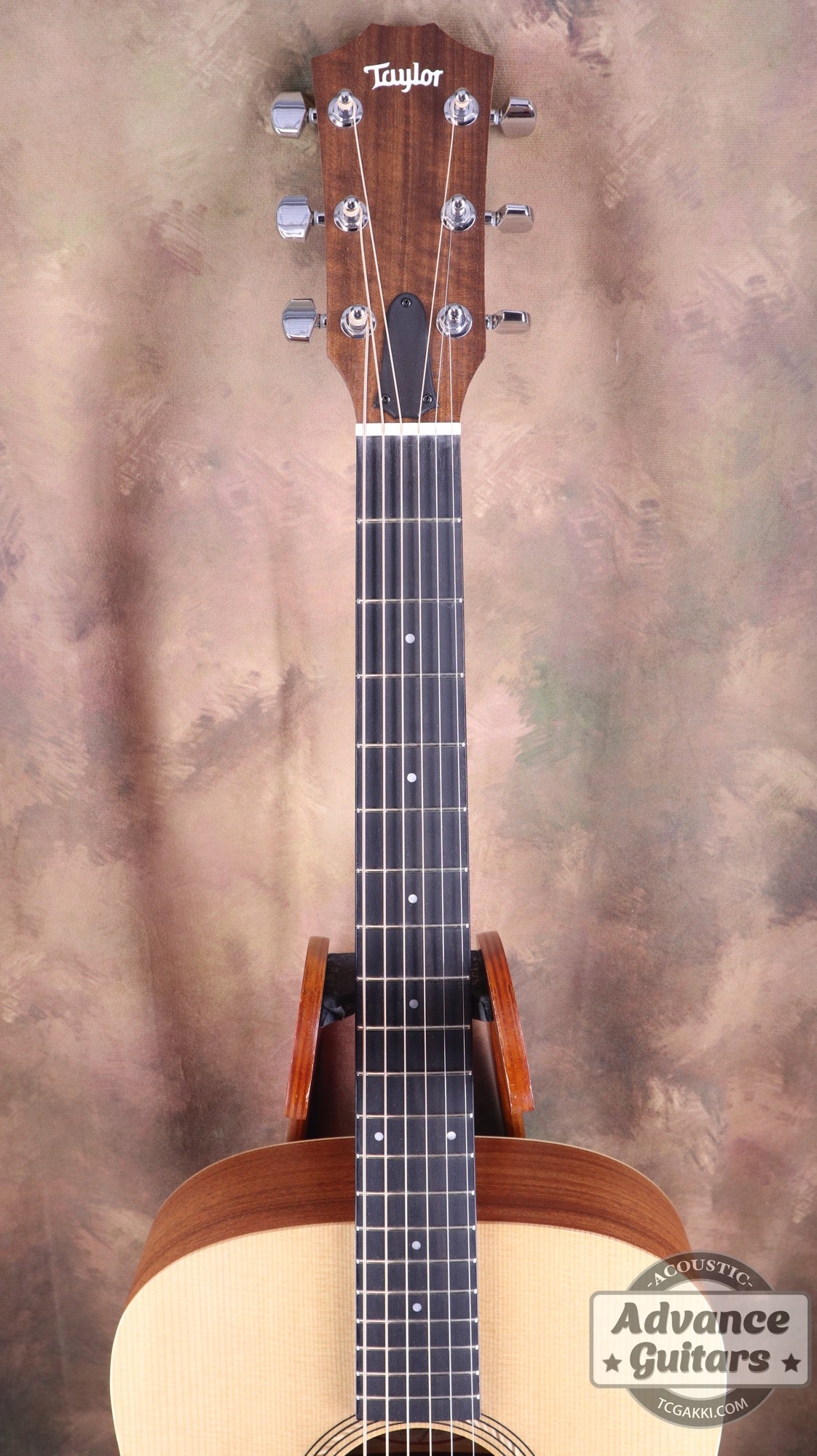 Taylor 2022年製 Academy 10