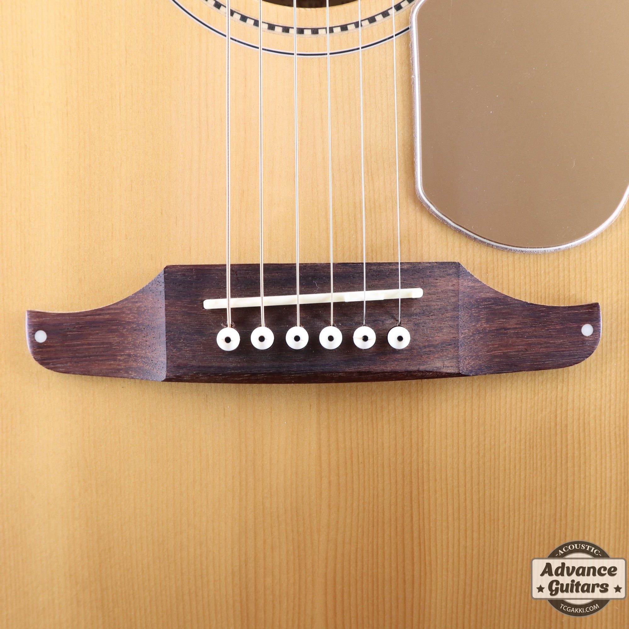Fender Sonoran S