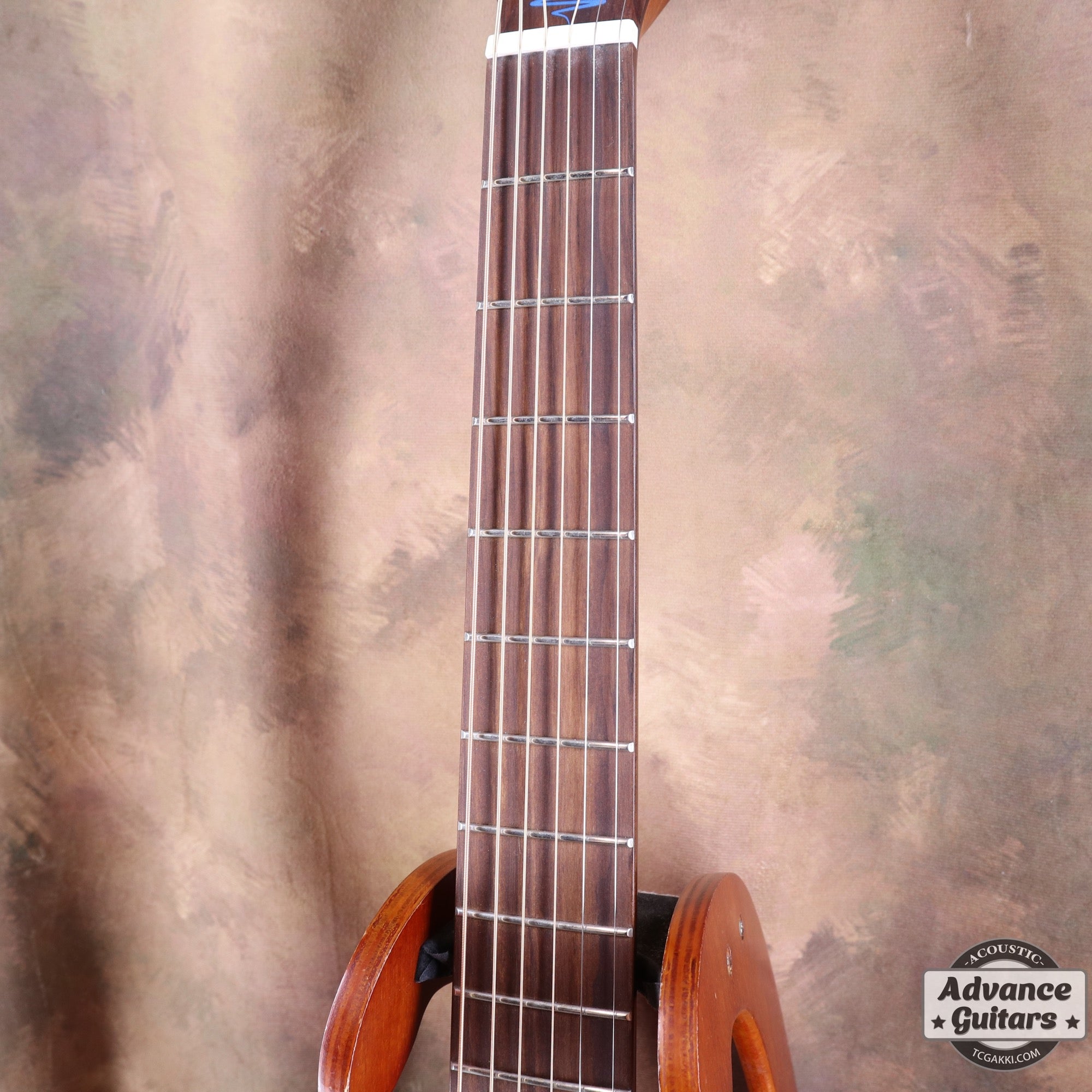 LAG Guitars THV10ACE-LB
