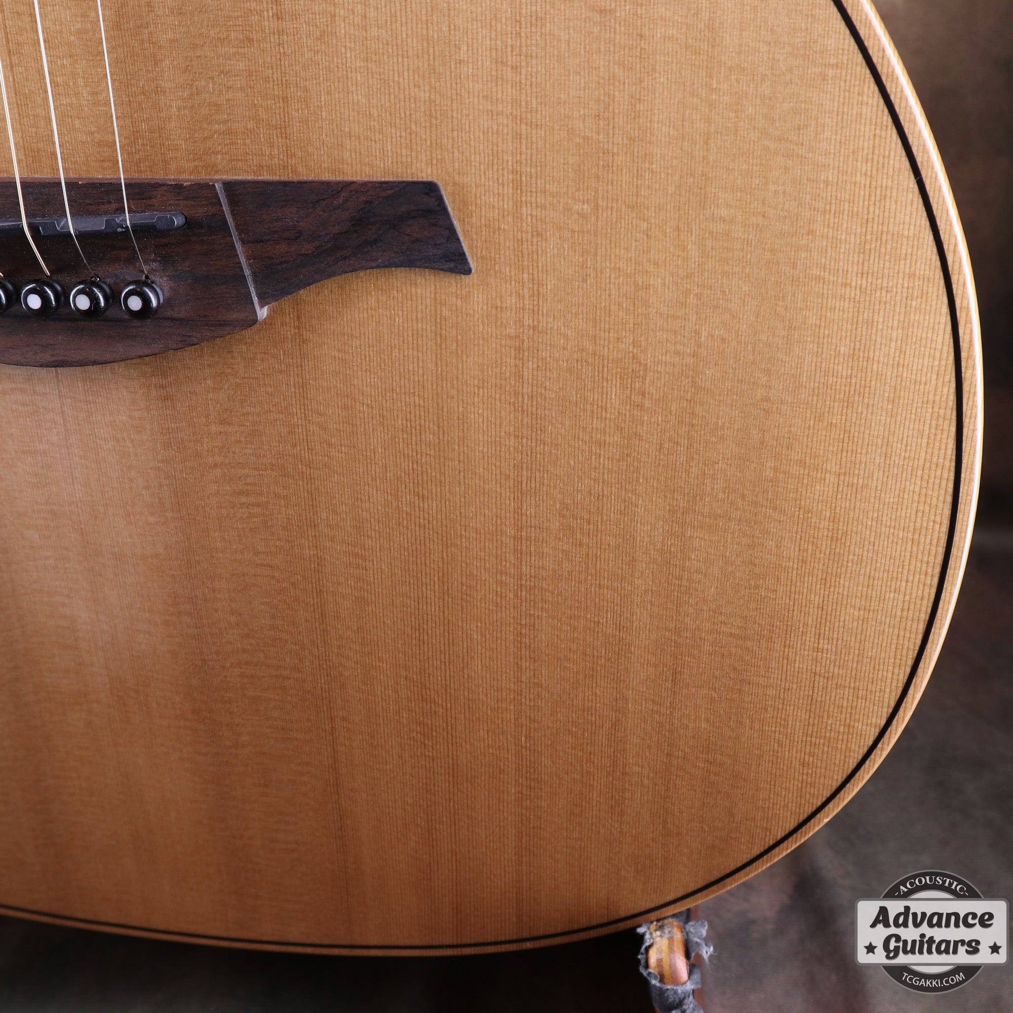 LAG Guitars THV10ACE-LB