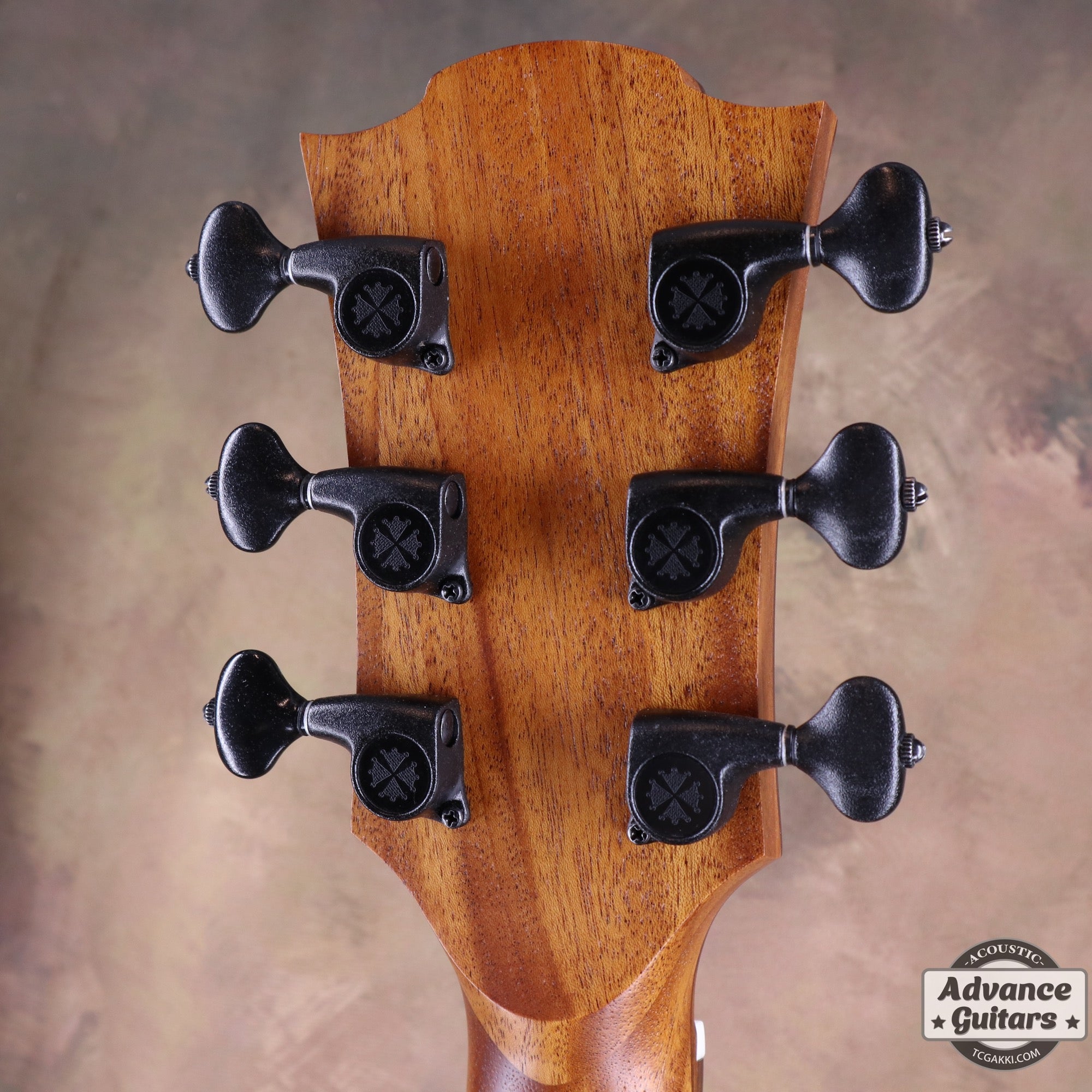 LAG Guitars THV10ACE-LB
