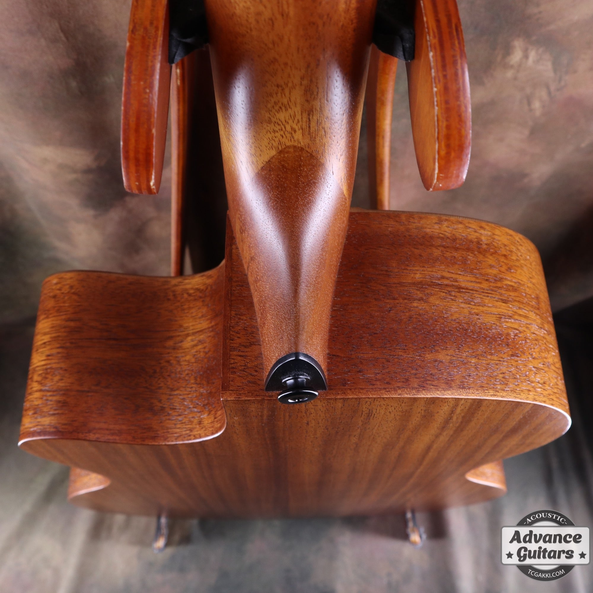 LAG Guitars THV10ACE-LB