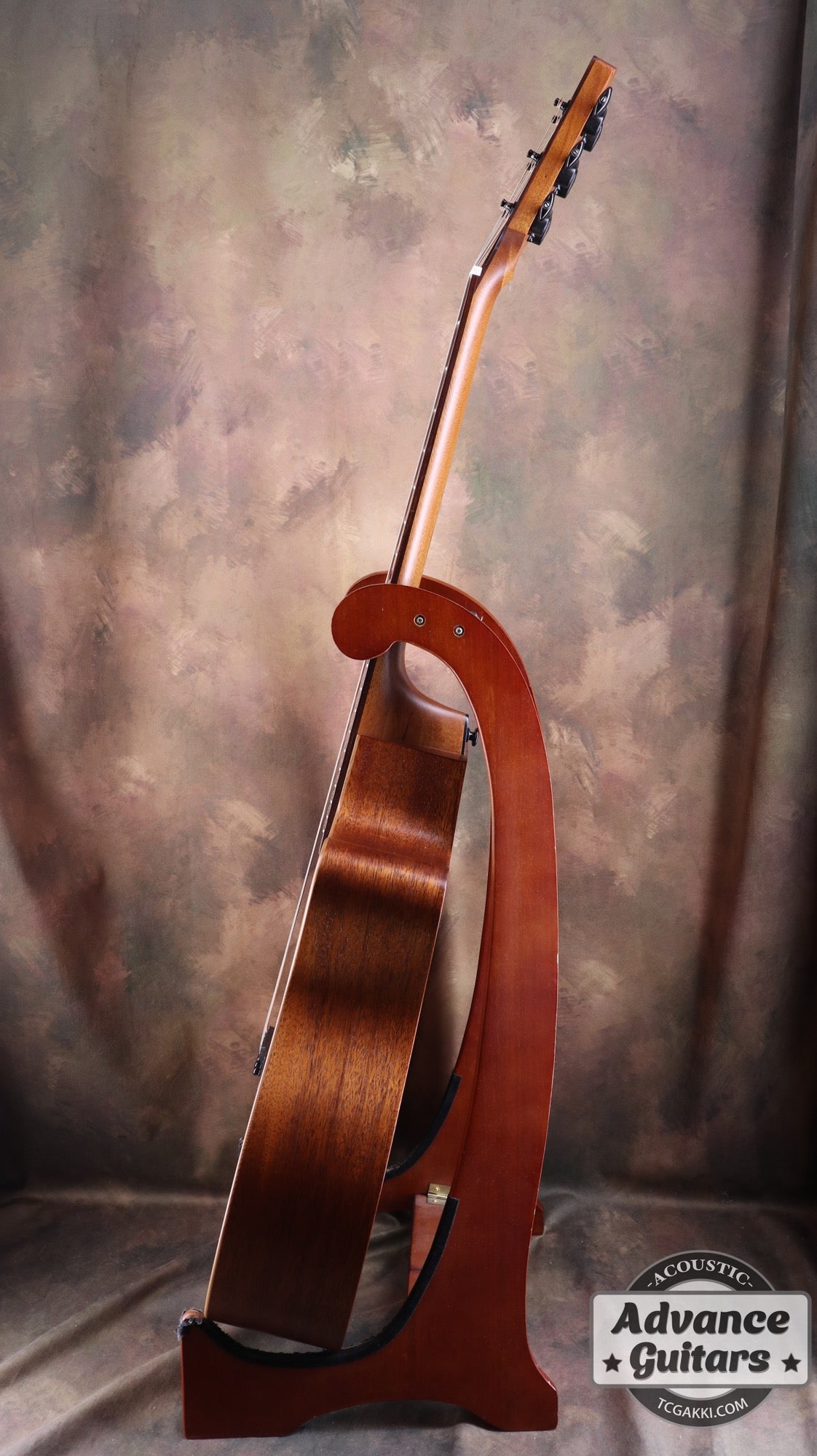 LAG Guitars THV10ACE-LB