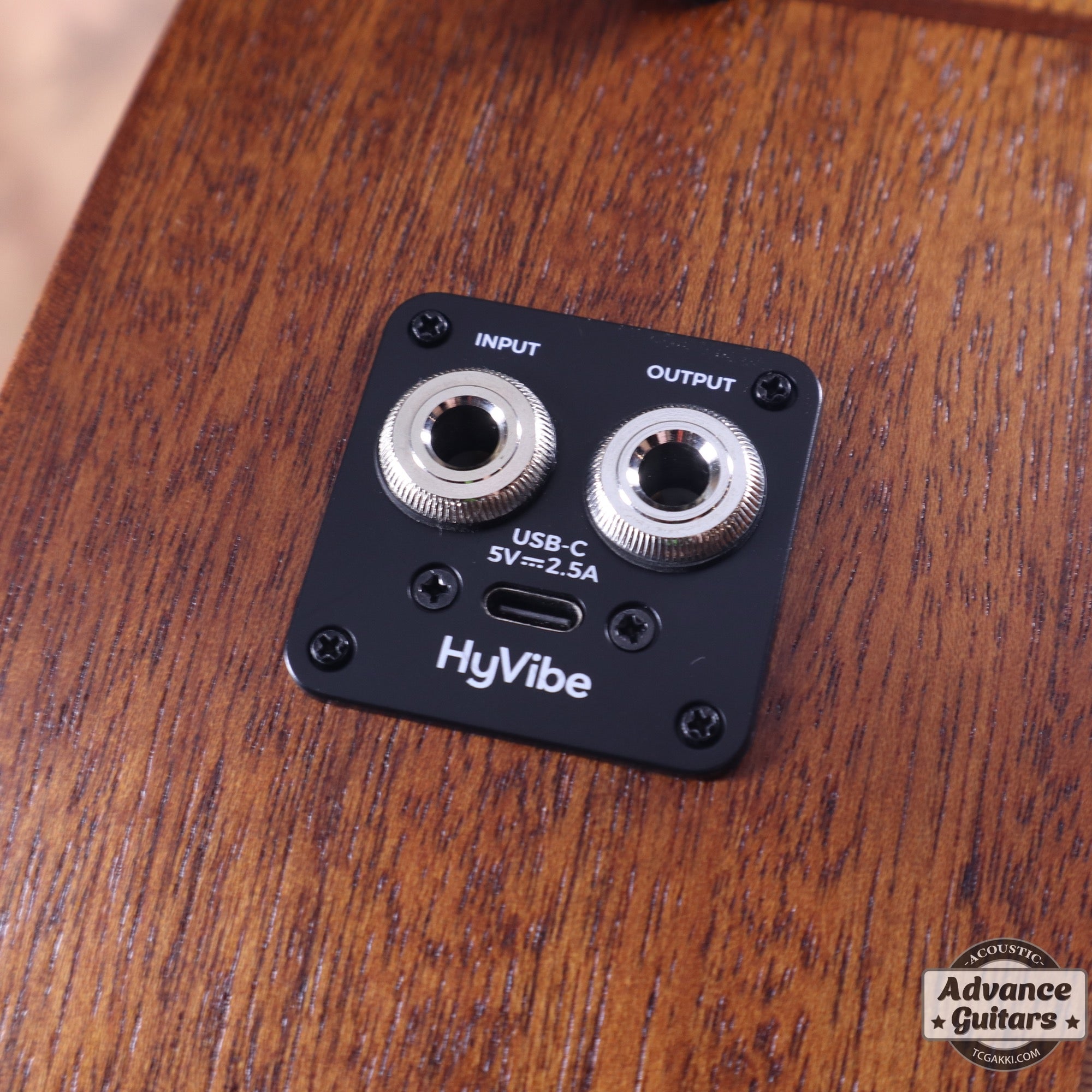 LAG Guitars THV10ACE-LB