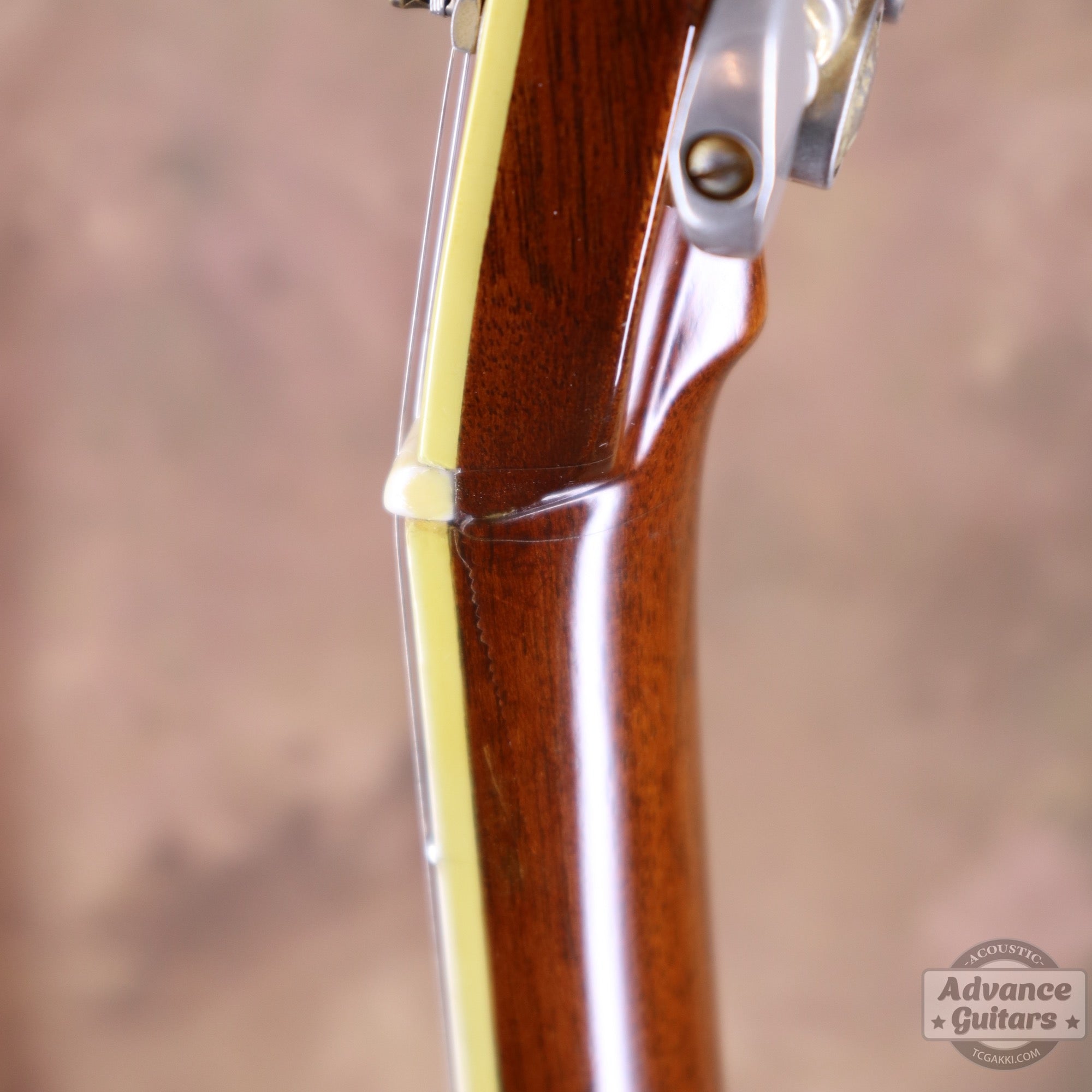 Martin 1969年製 D-45 [Shipping Free〜8/31]