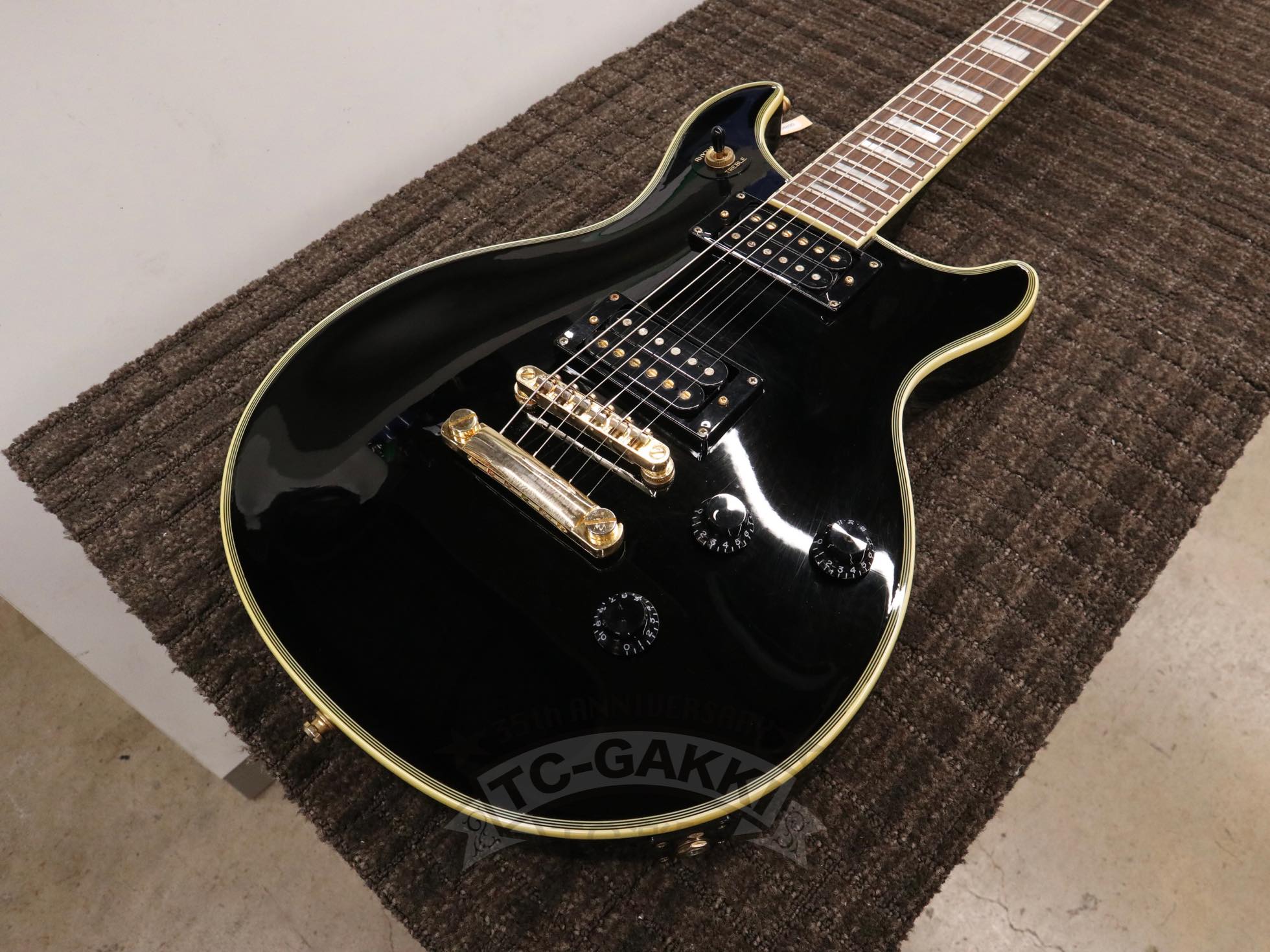Epiphone Custom Shop 2010 Tak Matsumoto DC Custom