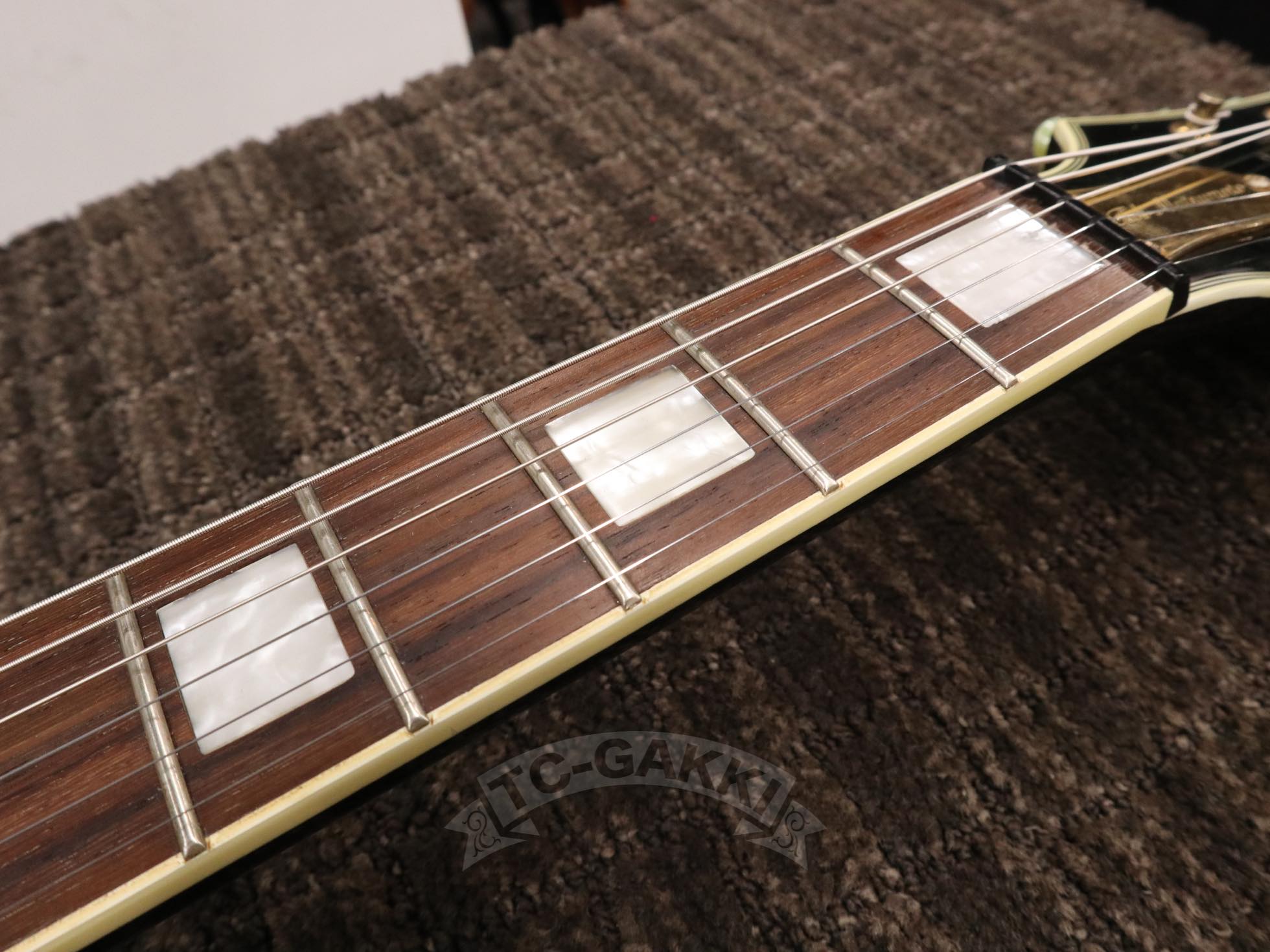Epiphone Custom Shop 2010 Tak Matsumoto DC Custom