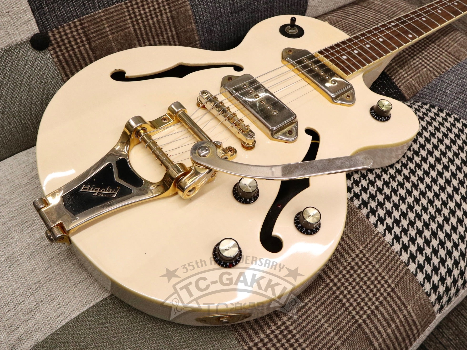 Epiphone WILDKAT TB 純正ハードケース付 Epiphone WILDKAT 純正ケース付き ☆純正ハードケース付☆】Epiphone