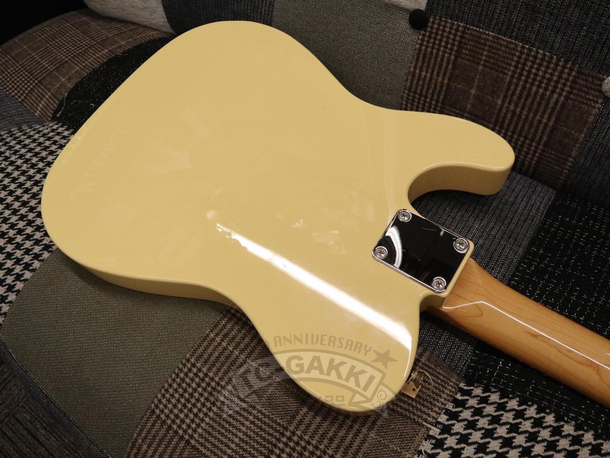 Fender Japan 2022 MIJ LTD Traditional II 60s Telecaster w/Bigsby