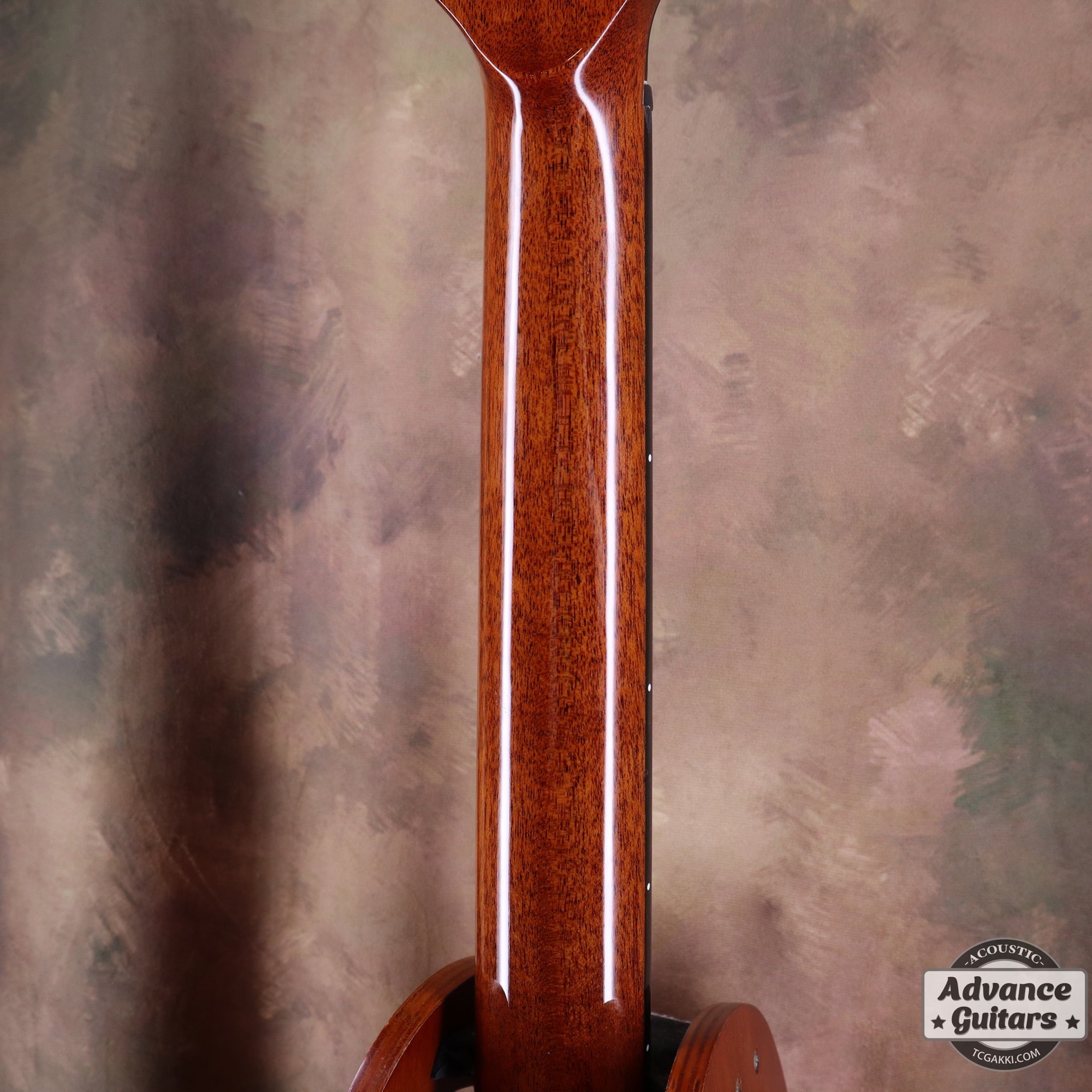 Naga Guitars 2020s S-80GAC