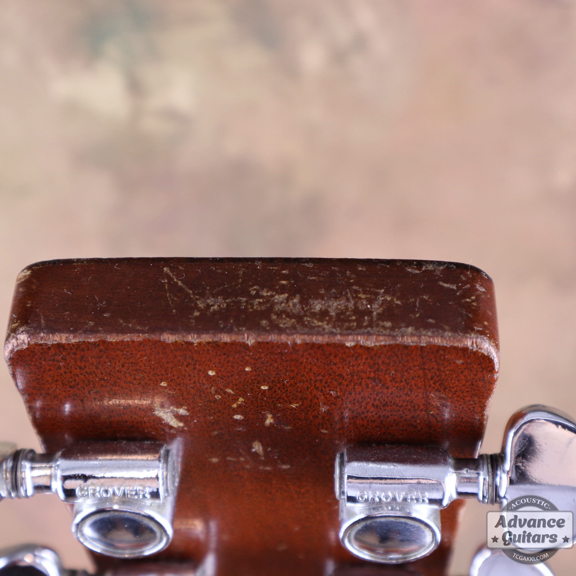 Martin 1973年製 D-35