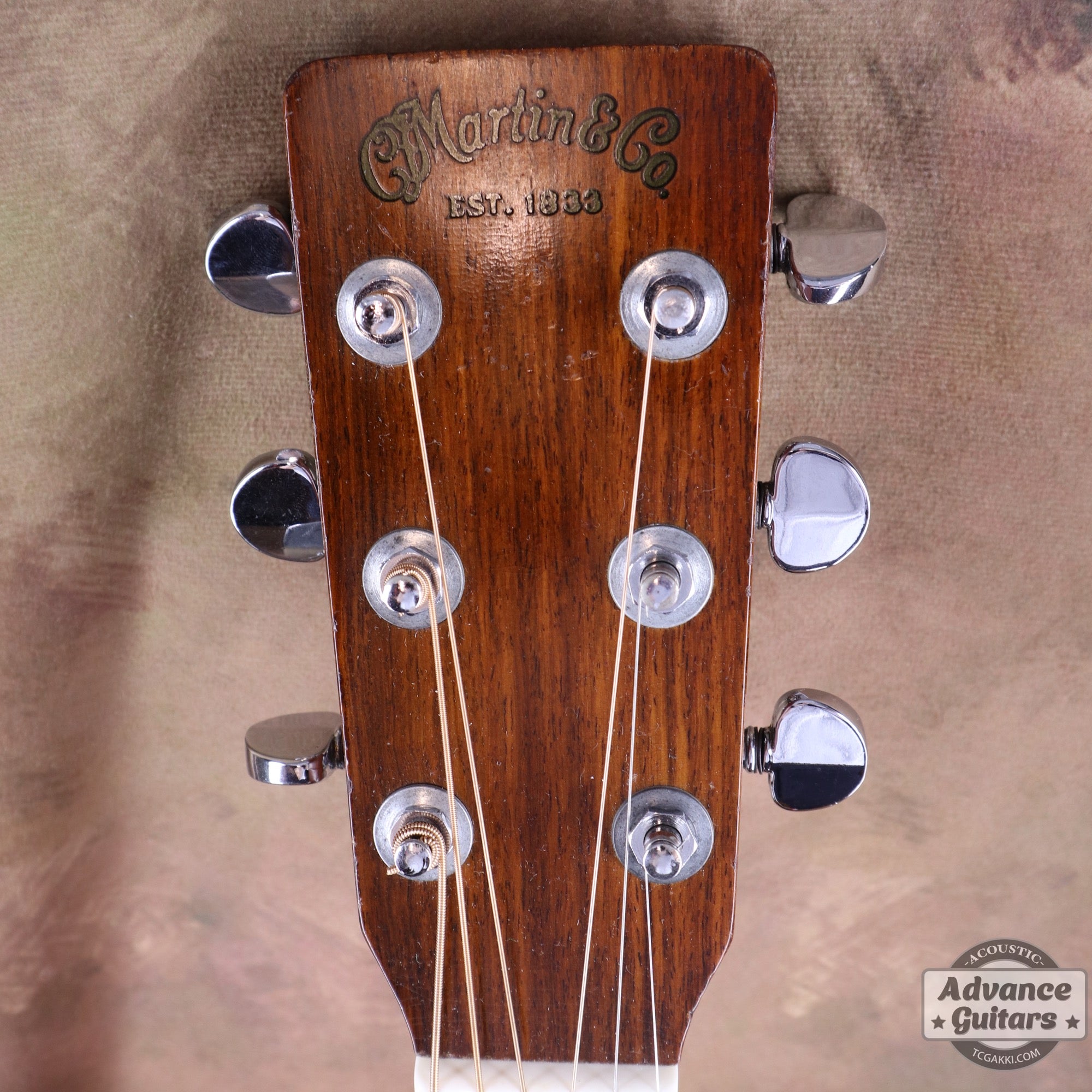 Martin 1973年製 D-35