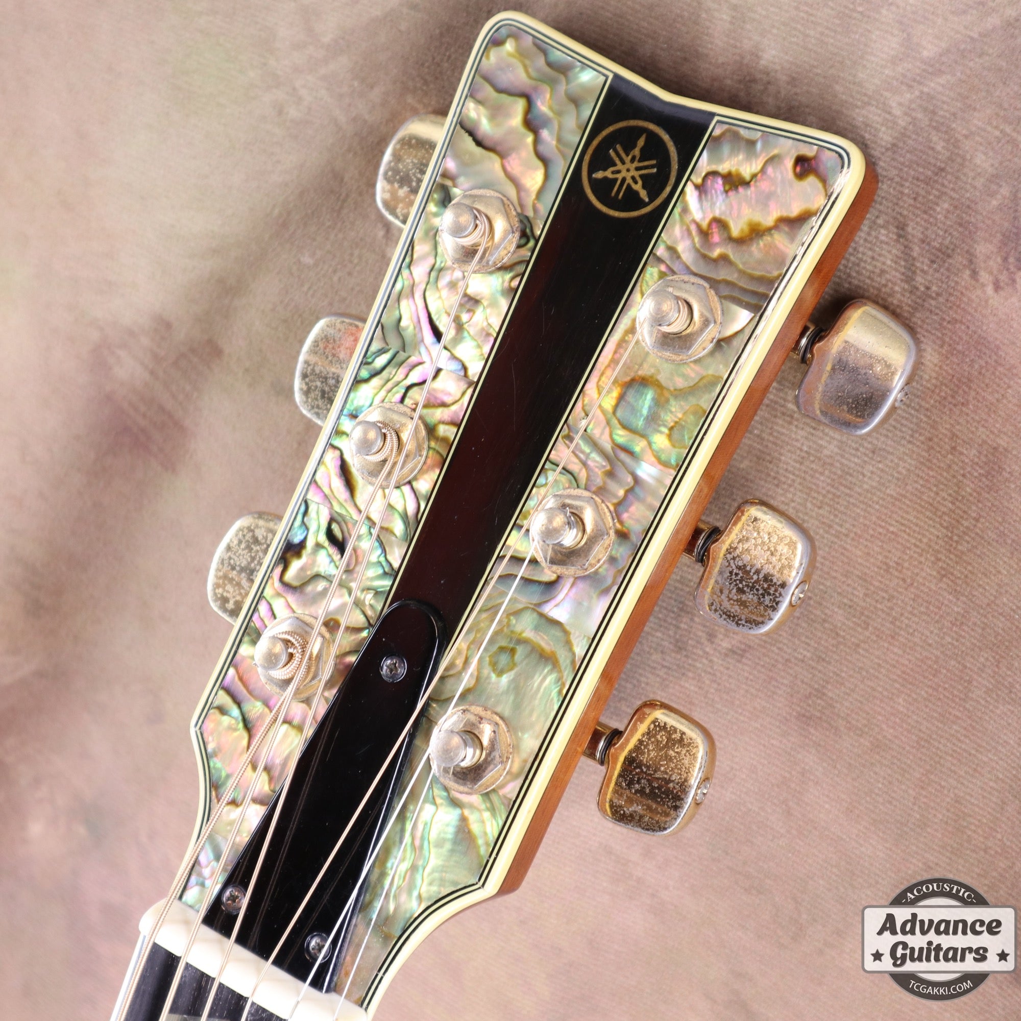 YAMAHA 1977 L-53 Custom [Shipping Free〜8/31]