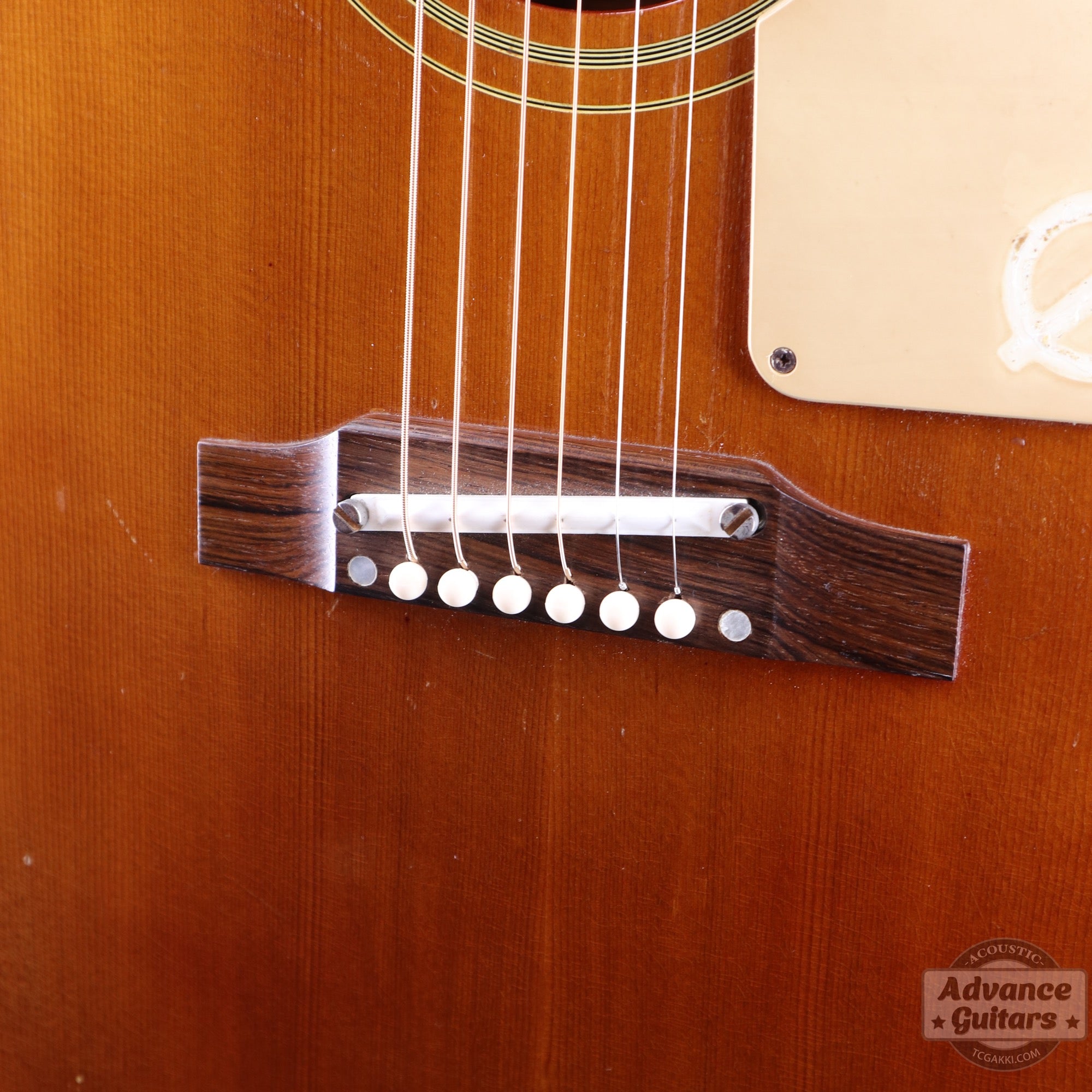 Epiphone 1968年製 FT-79