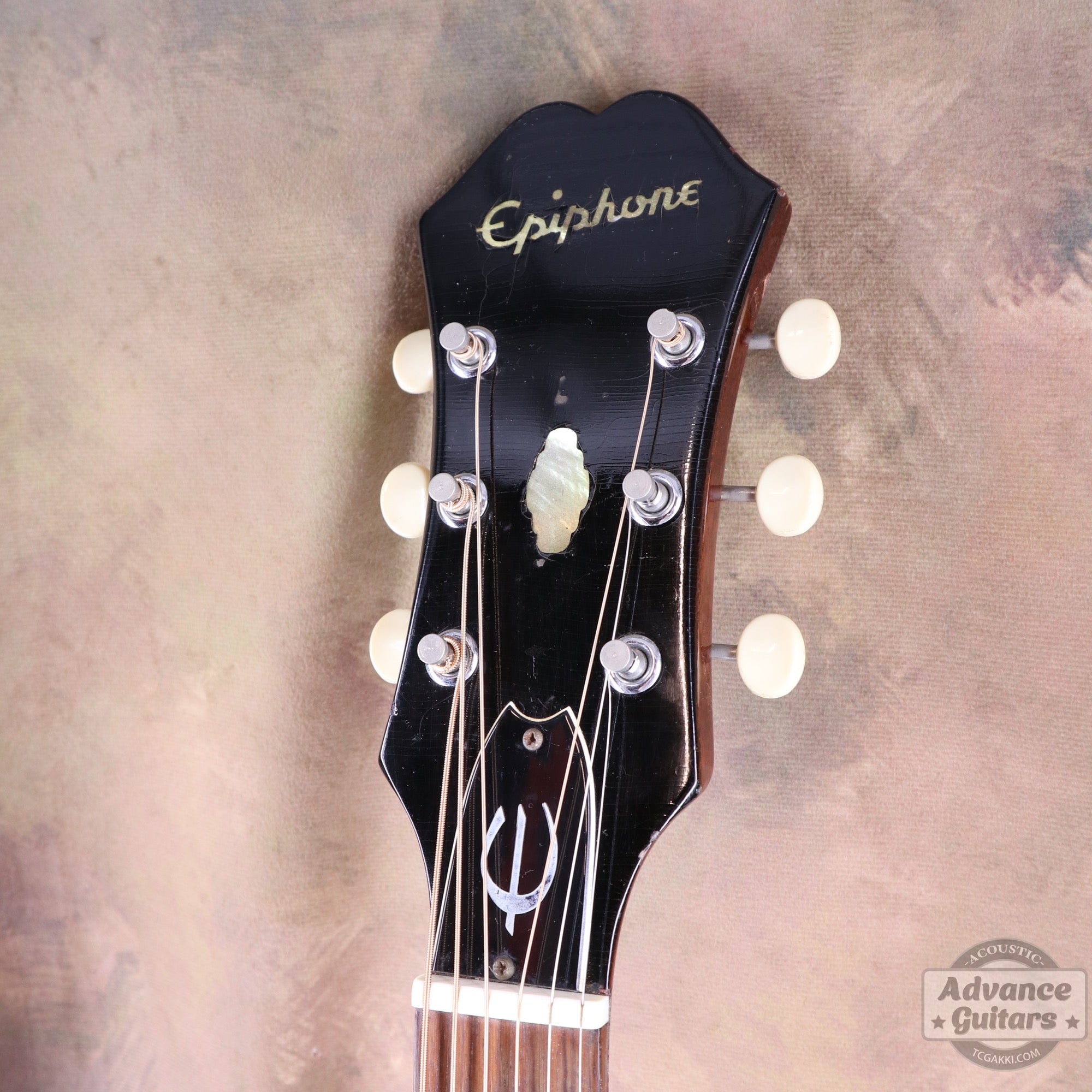 Epiphone 1968年製 FT-79