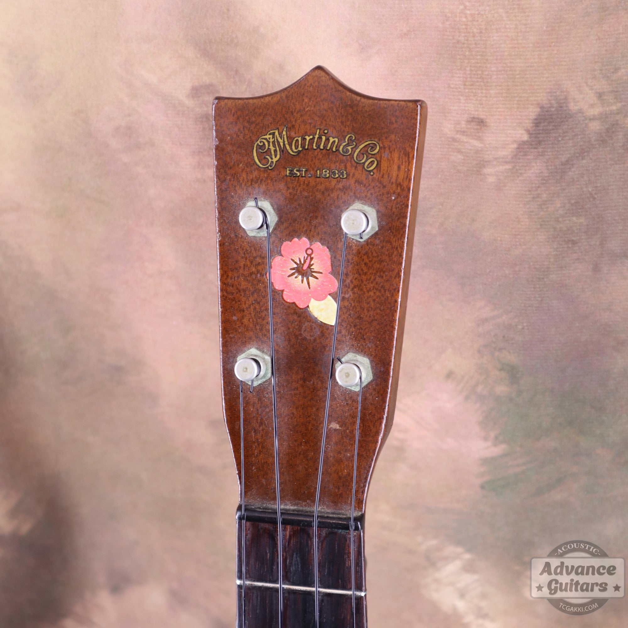 Martin 1956〜1961年製 Style-1
