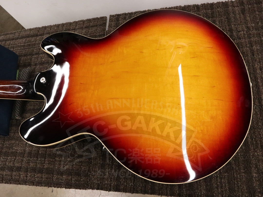 Non brand  Semi-acoustic Guitar