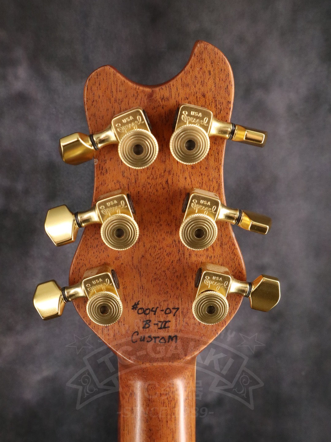 Brubaker Guitars B-II Custom
