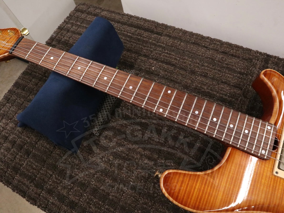 Brubaker Guitars B-II Custom