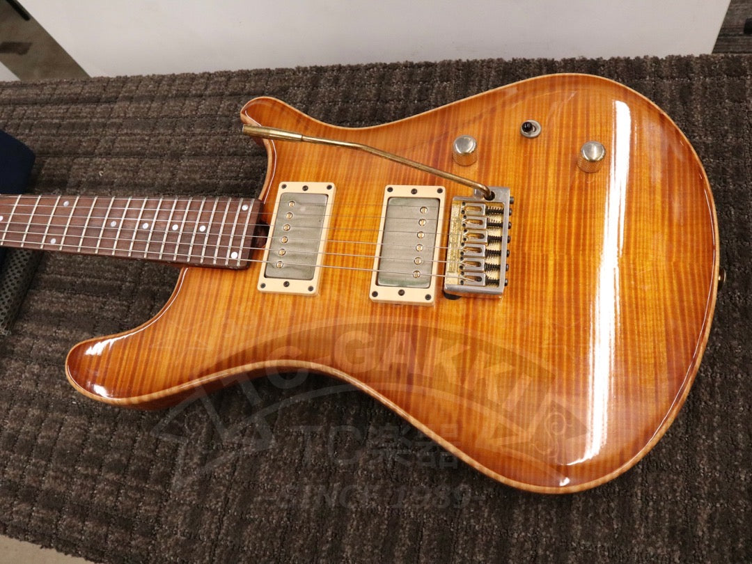 Brubaker Guitars B-II Custom