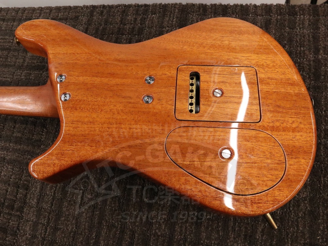 Brubaker Guitars B-II Custom