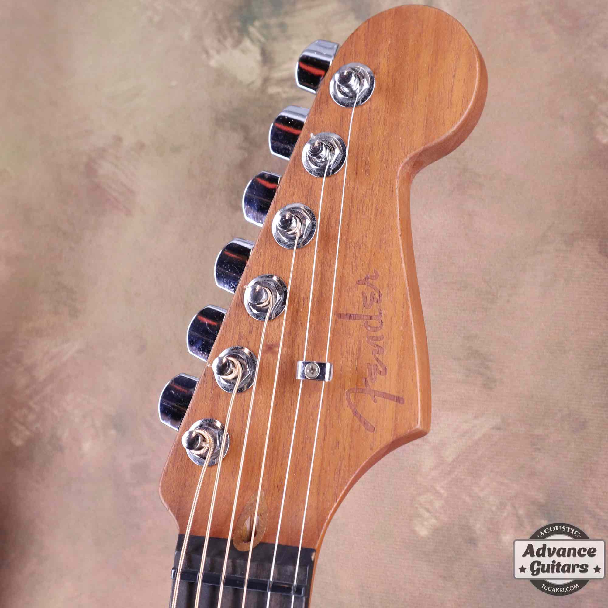 American Acoustasonic Stratocaster