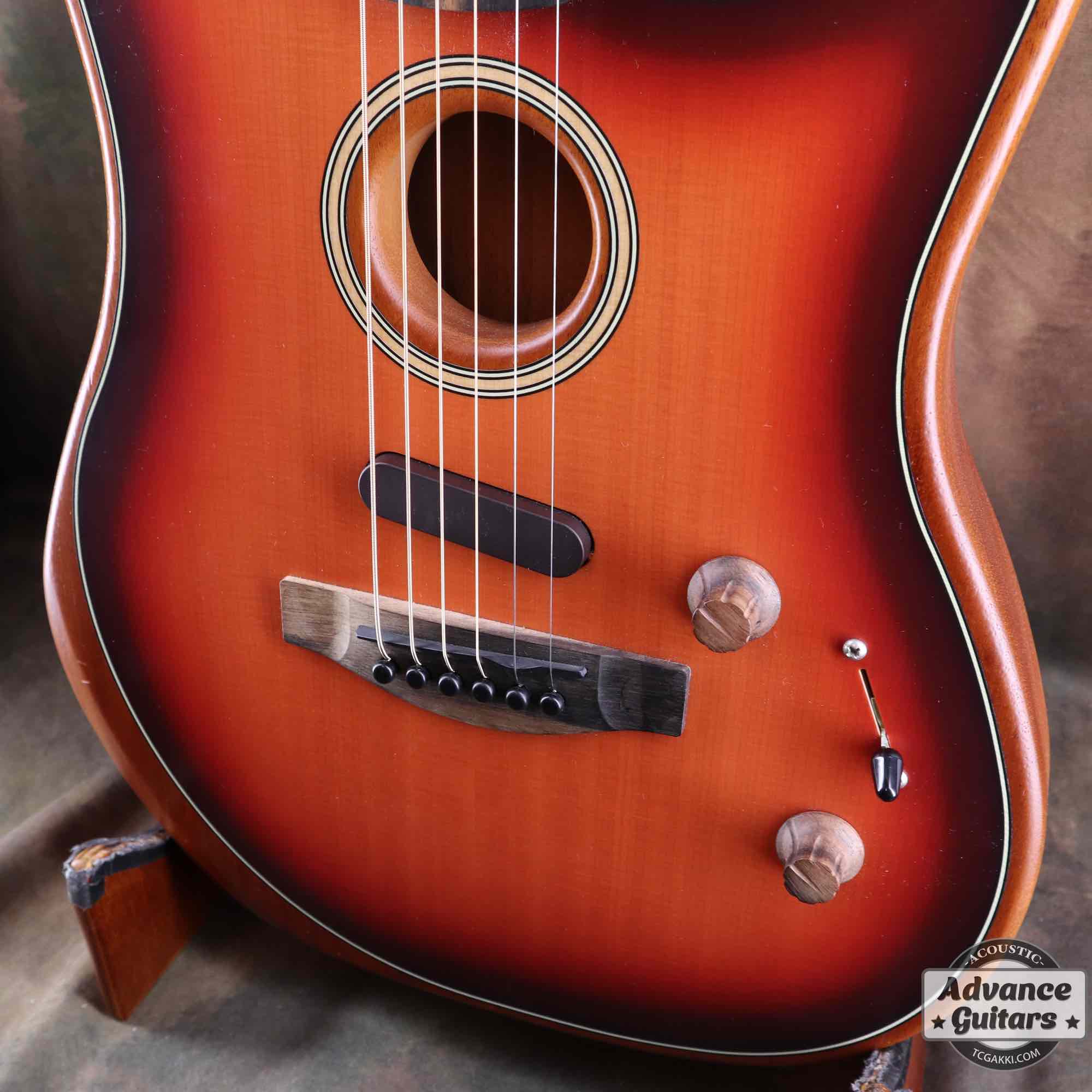 American Acoustasonic Stratocaster