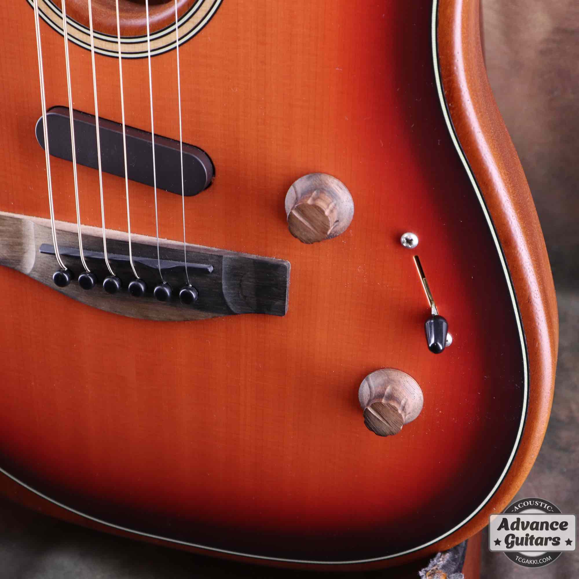 American Acoustasonic Stratocaster