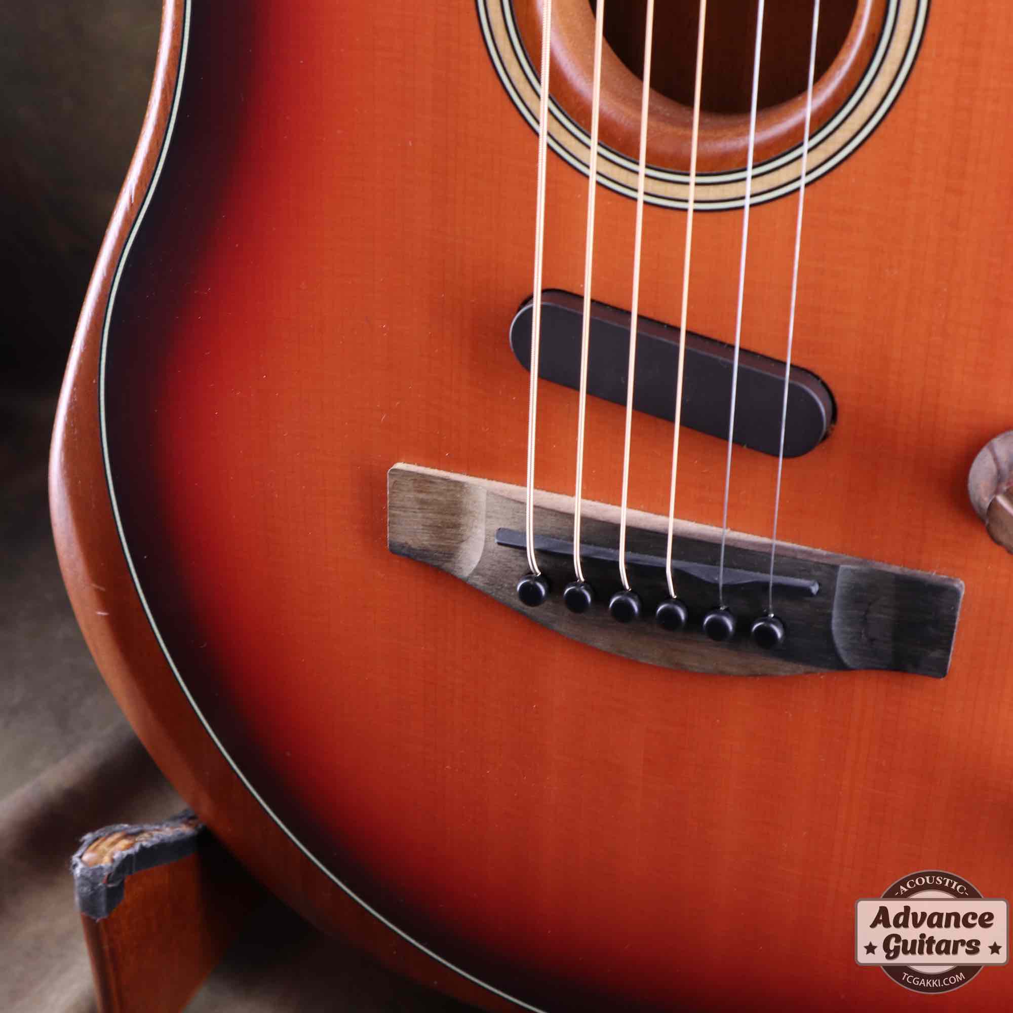 American Acoustasonic Stratocaster