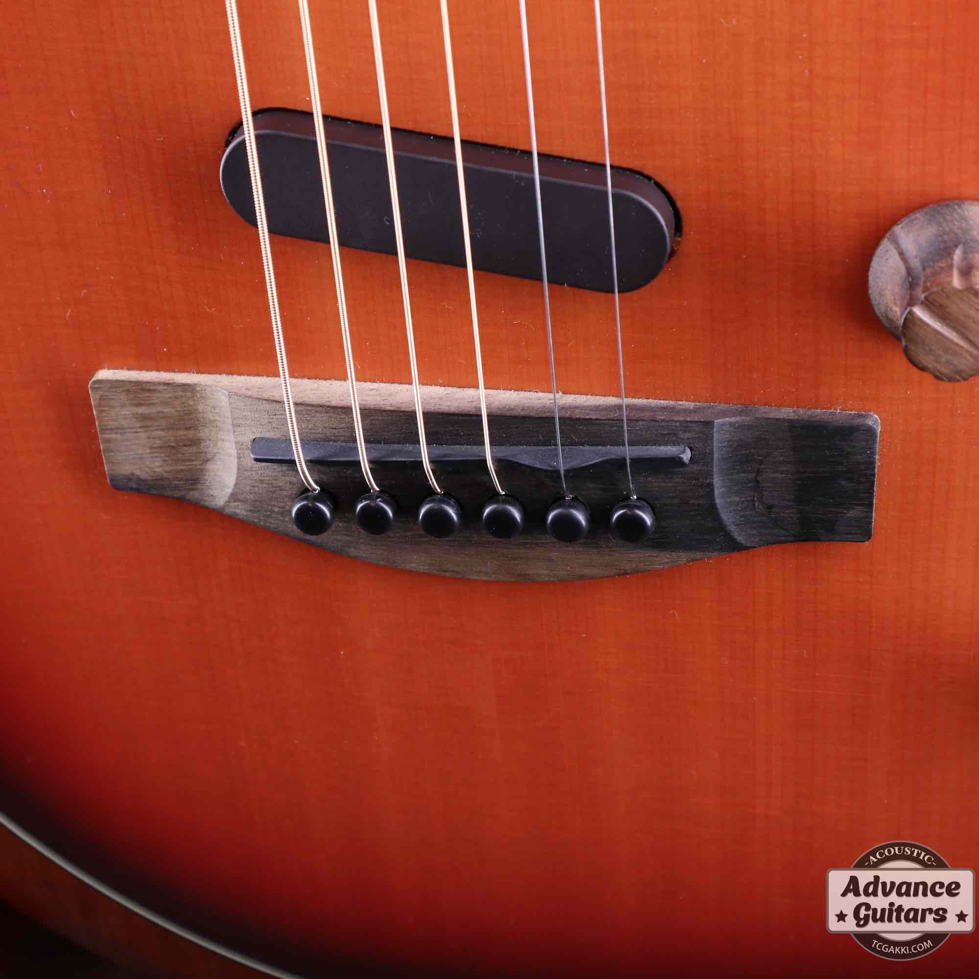 American Acoustasonic Stratocaster