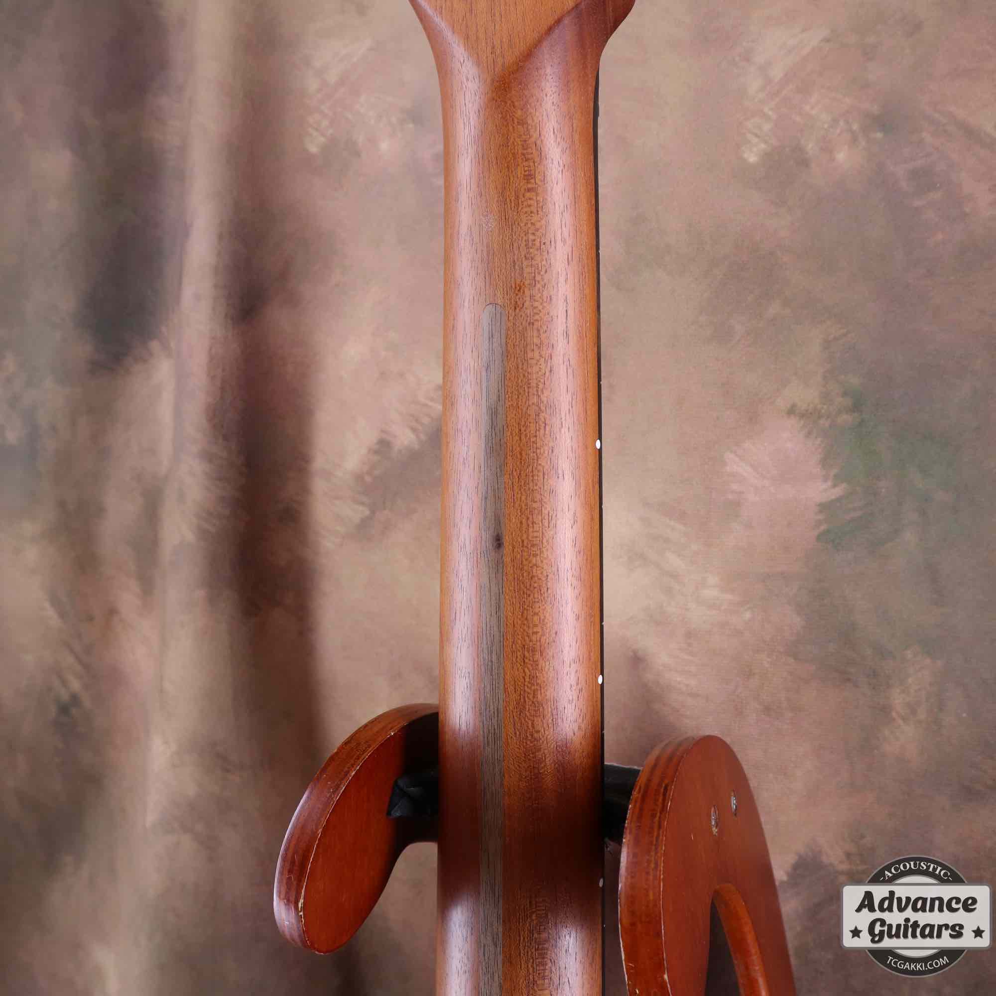 American Acoustasonic Stratocaster