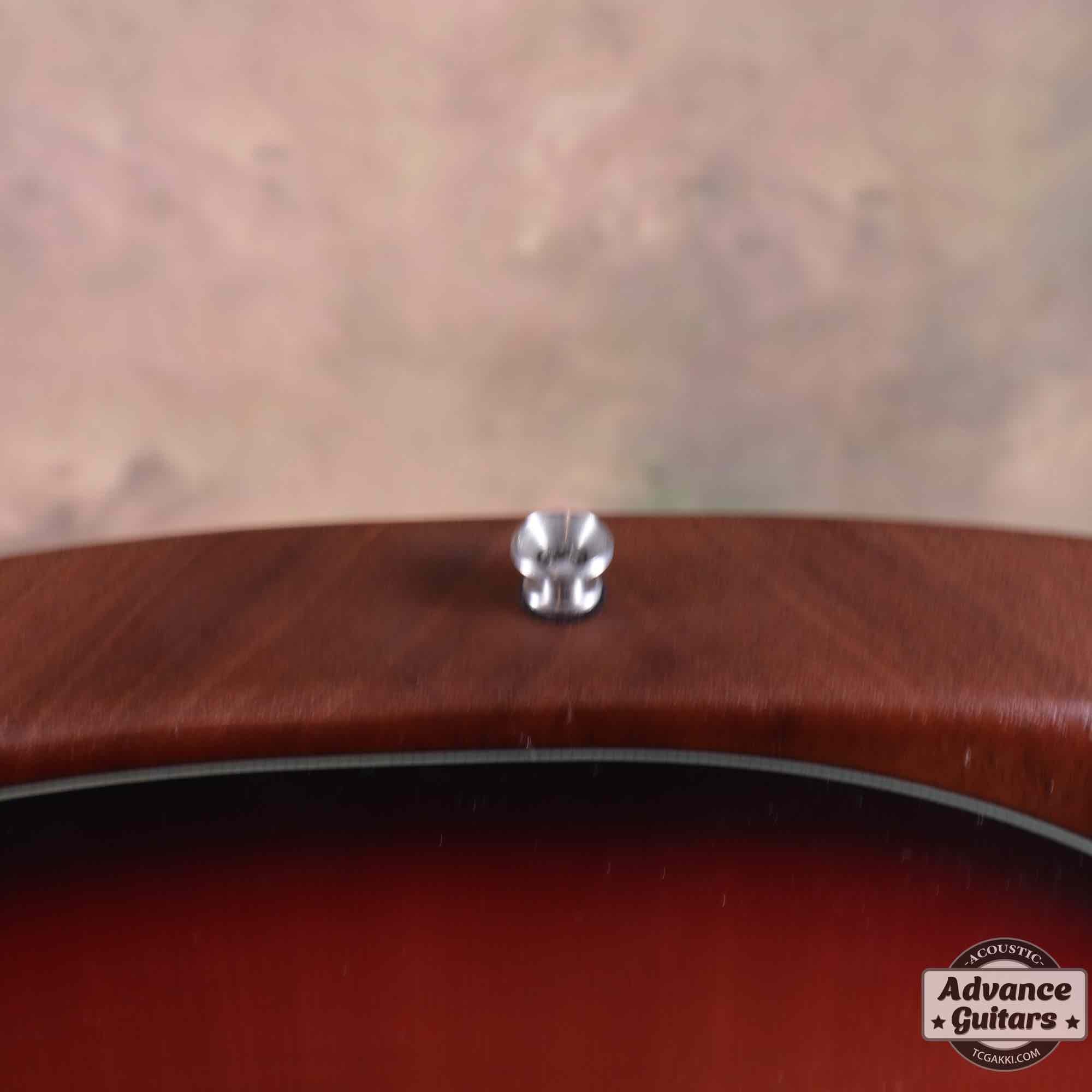 American Acoustasonic Stratocaster