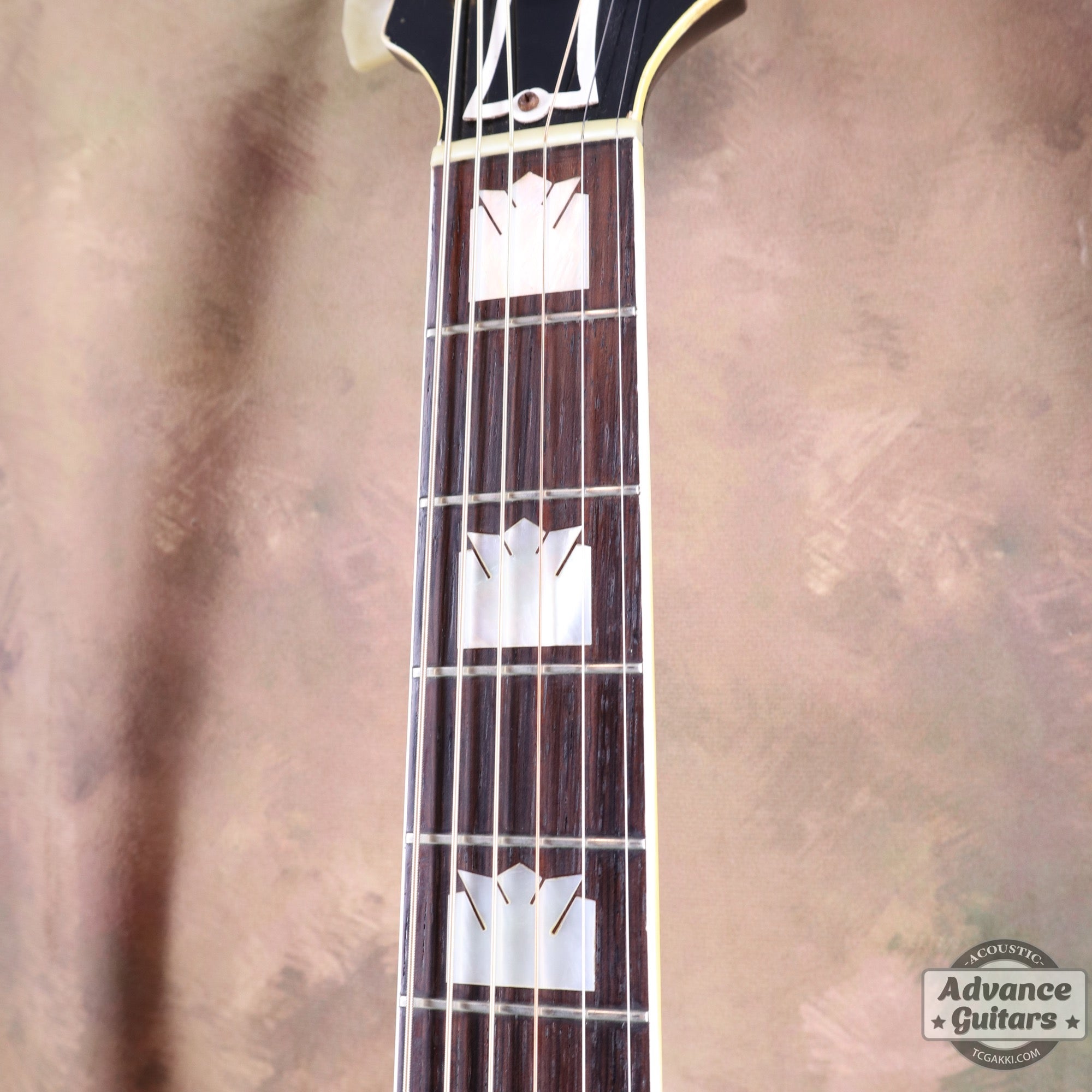 1952 J-200 [Shipping Free ~ 8/31]