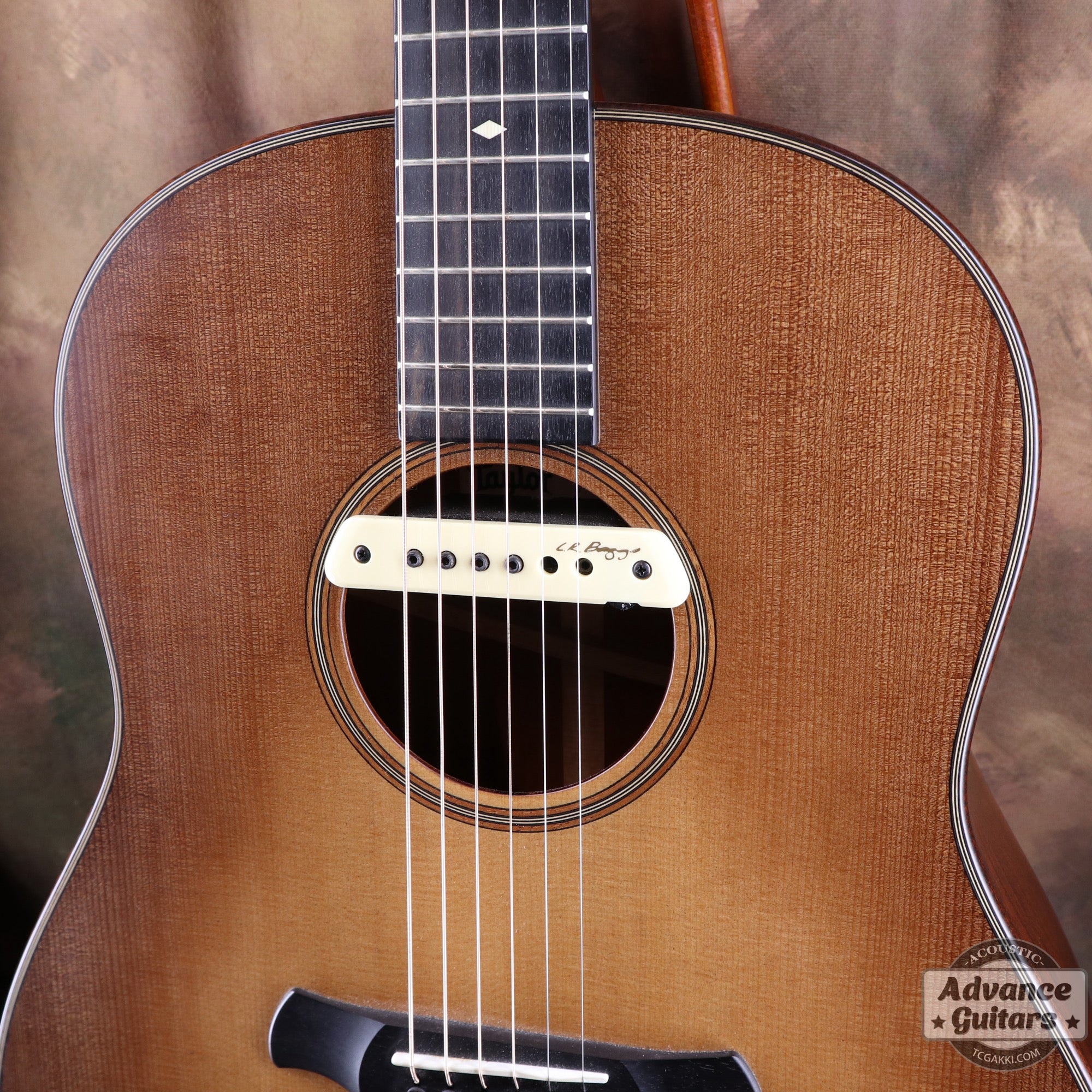 Taylor 2019年製 Builder’s Edition 517