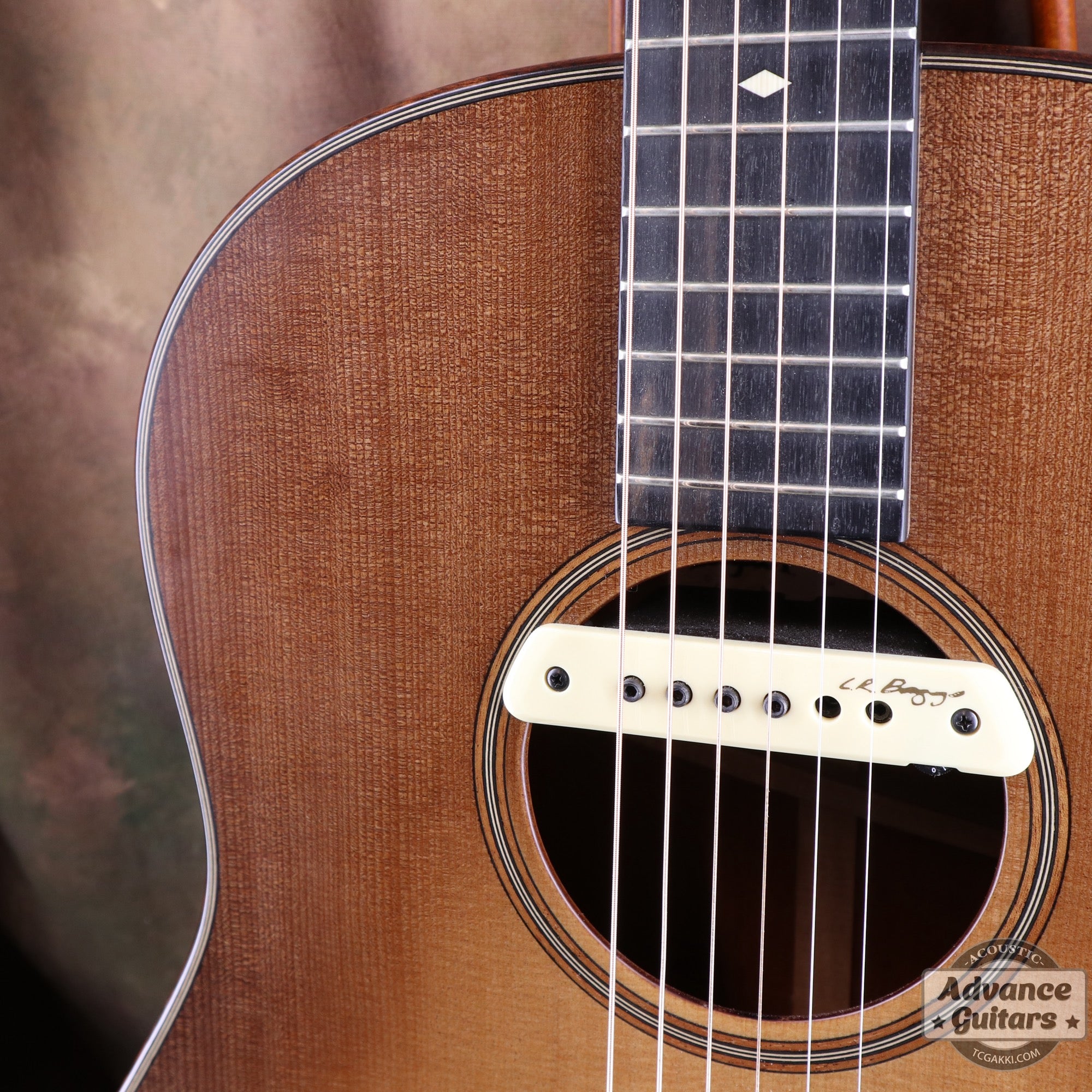 Taylor 2019年製 Builder’s Edition 517
