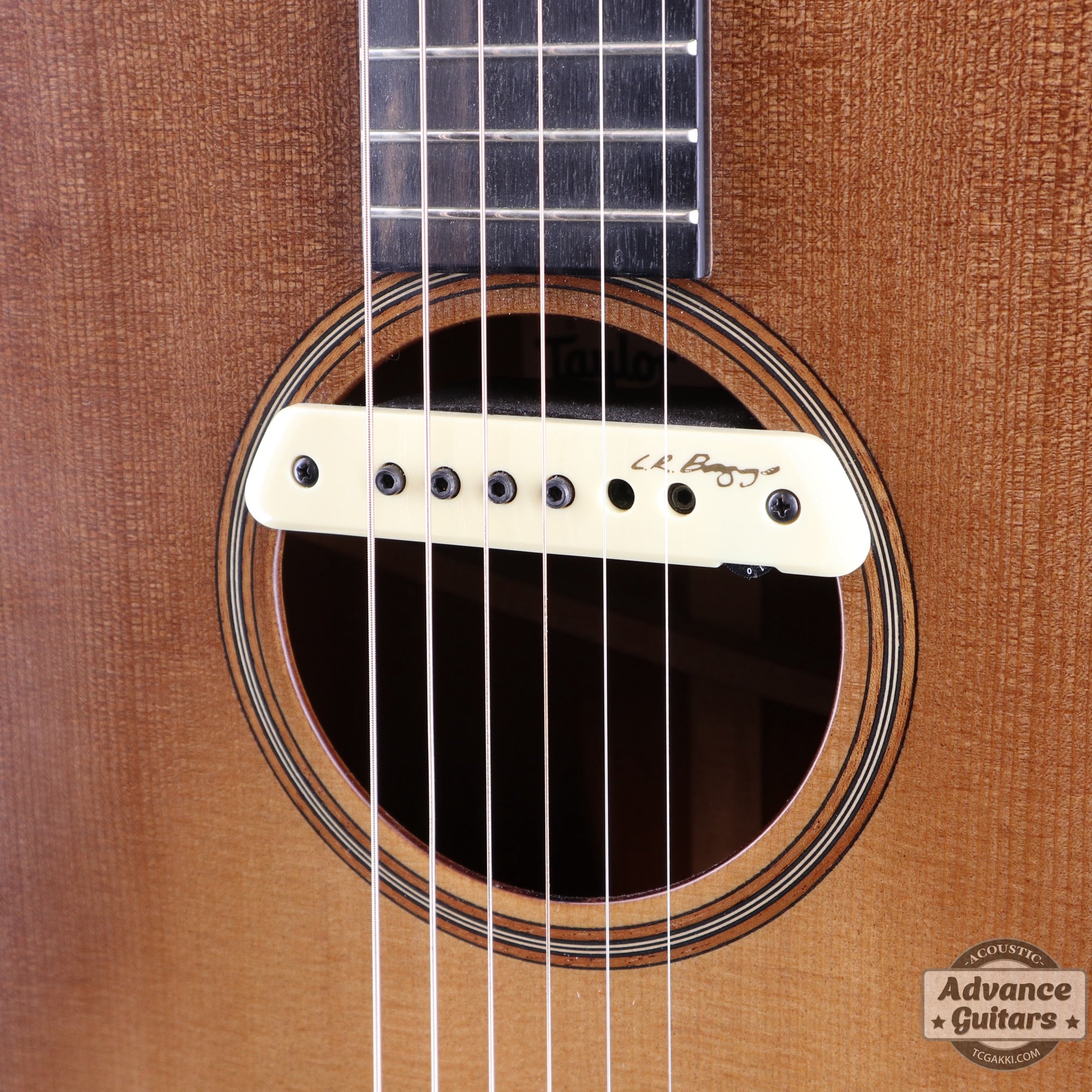 Taylor 2019年製 Builder’s Edition 517