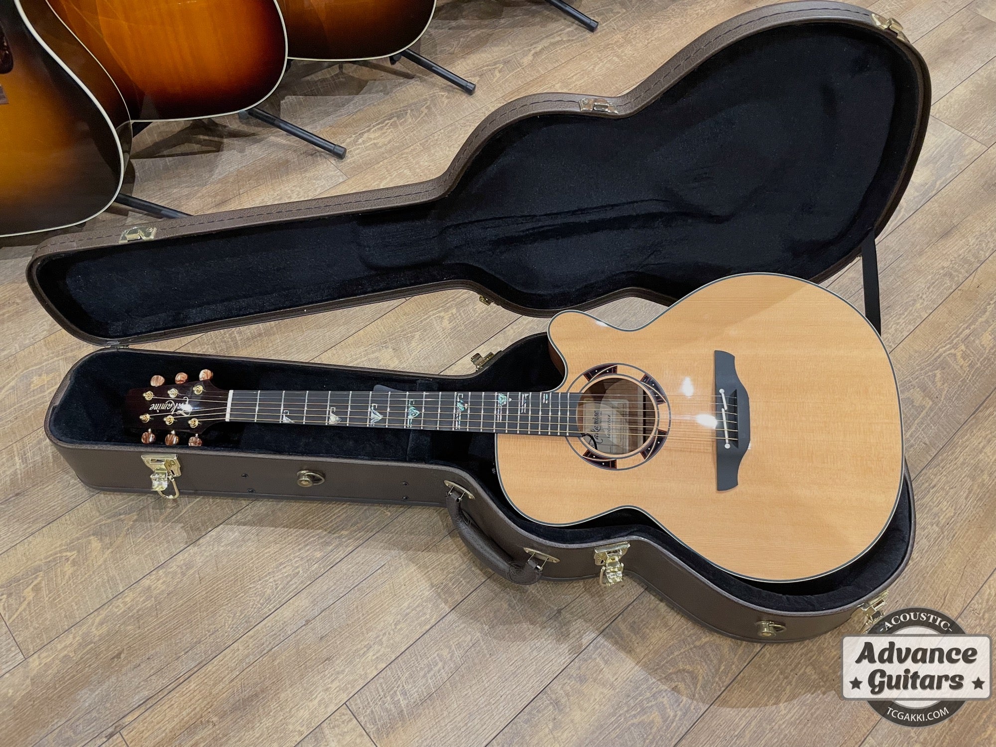 Takamine 2021年製 500 CUSTOM