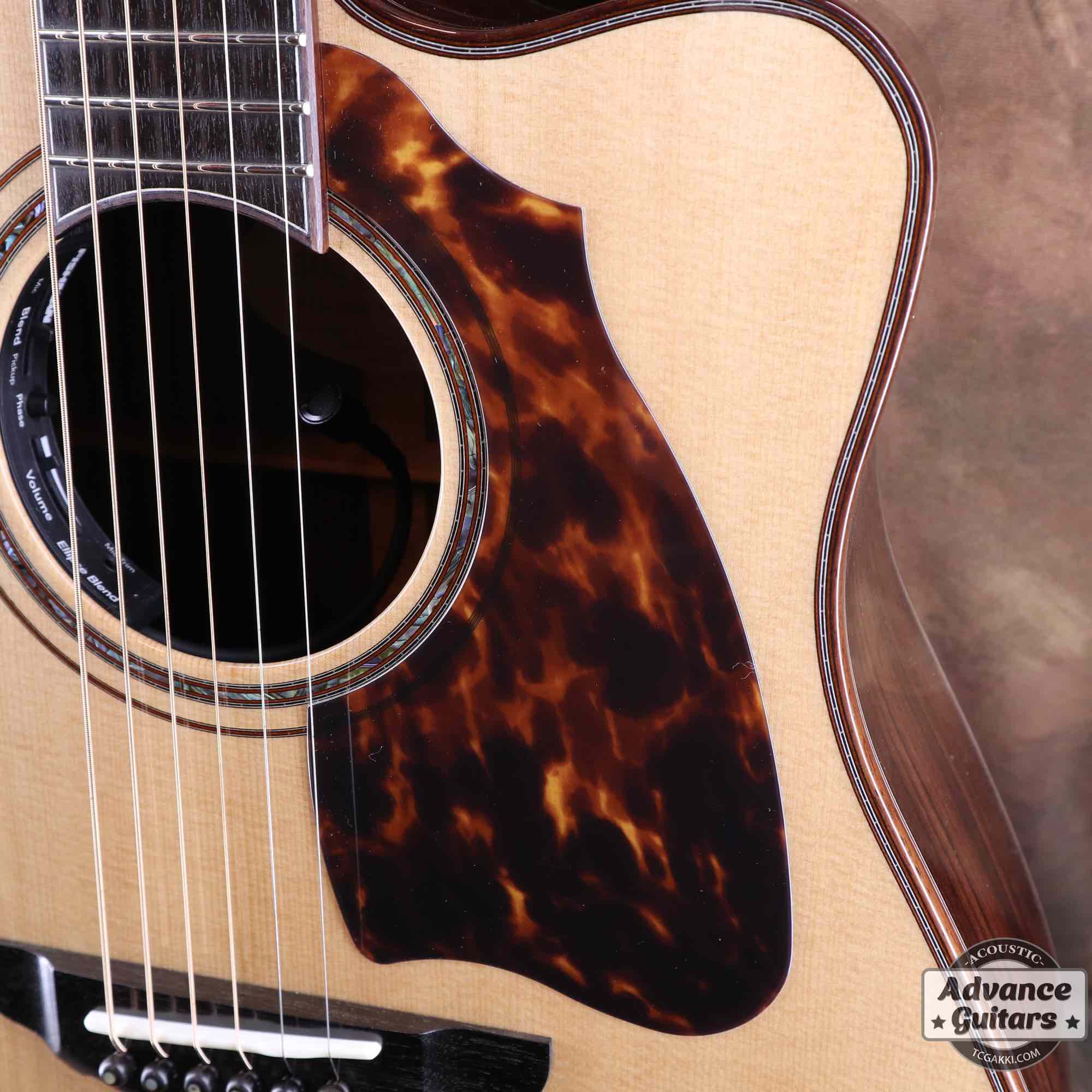 Premium Terry PTJ-100C MS GRAPE “No.3” [Shipping Free〜8/31]