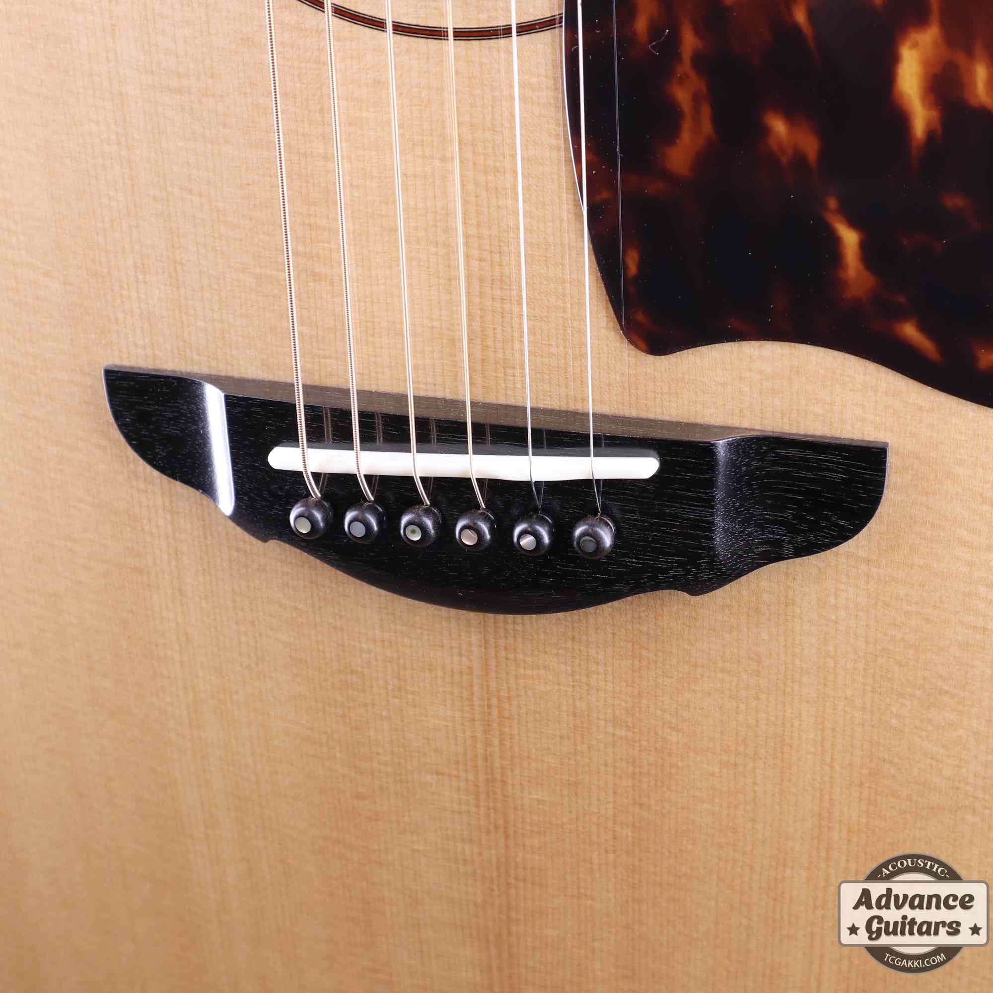 Premium Terry PTJ-100C MS GRAPE “No.3” [Shipping Free〜8/31]
