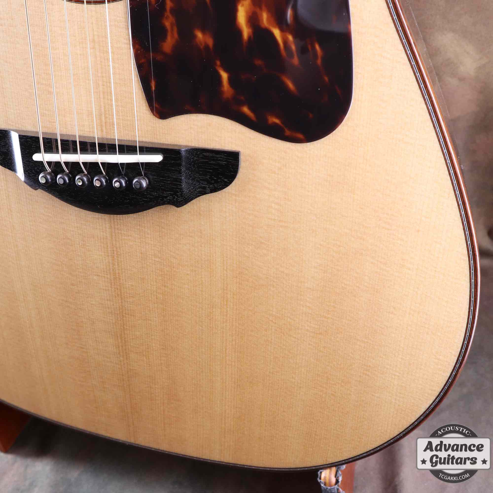 Premium Terry PTJ-100C MS GRAPE “No.3” [Shipping Free〜8/31]