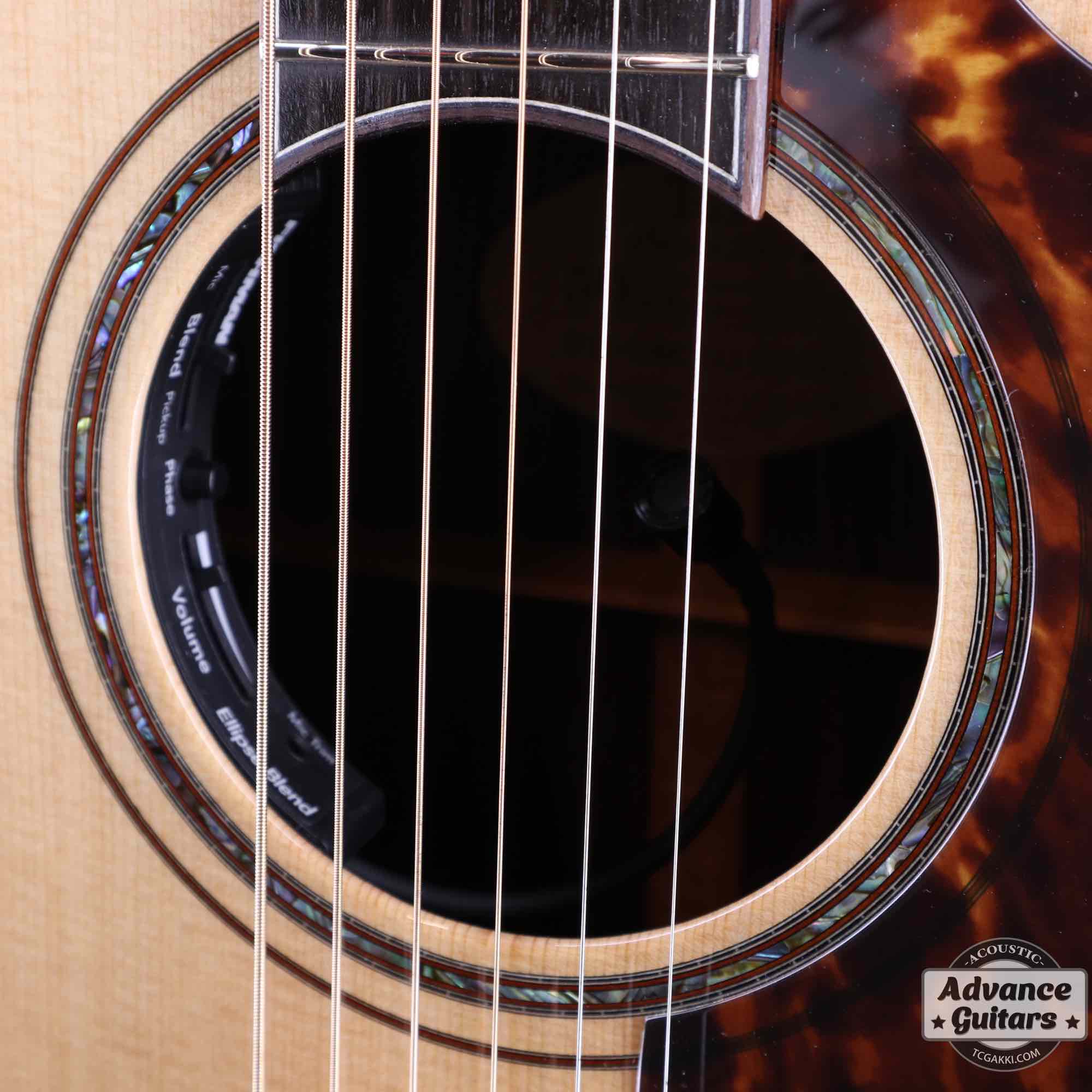 Premium Terry PTJ-100C MS GRAPE “No.3” [Shipping Free〜8/31]