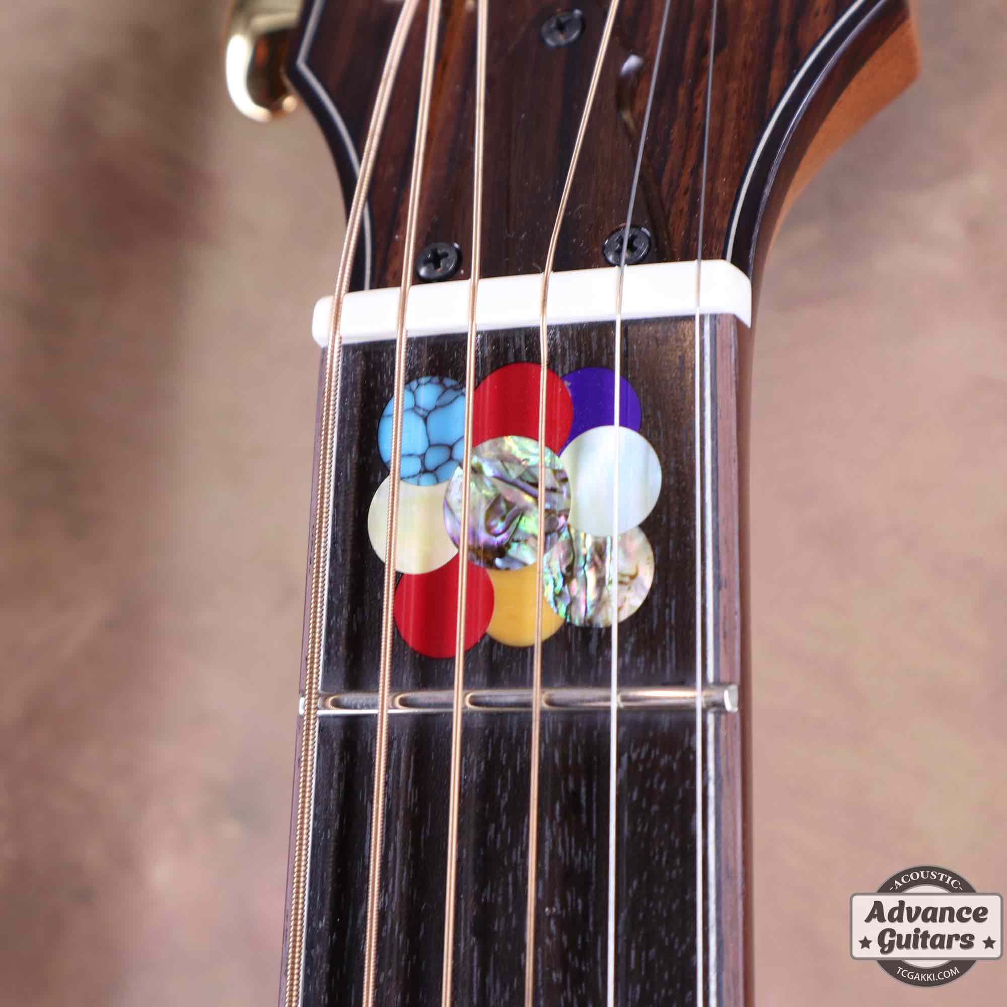 Premium Terry PTJ-100C MS GRAPE “No.3” [Shipping Free〜8/31]