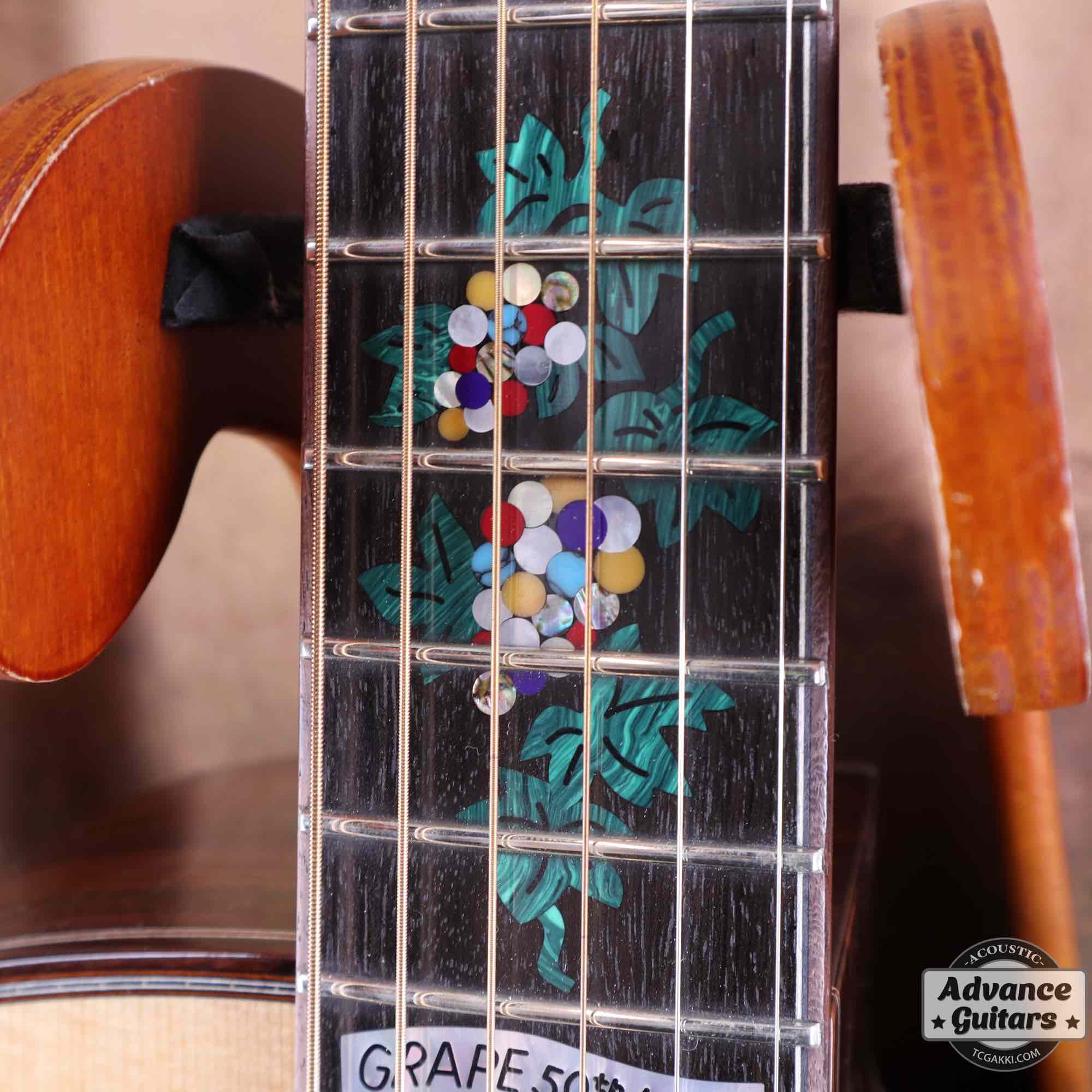 Premium Terry PTJ-100C MS GRAPE “No.3” [Shipping Free〜8/31]